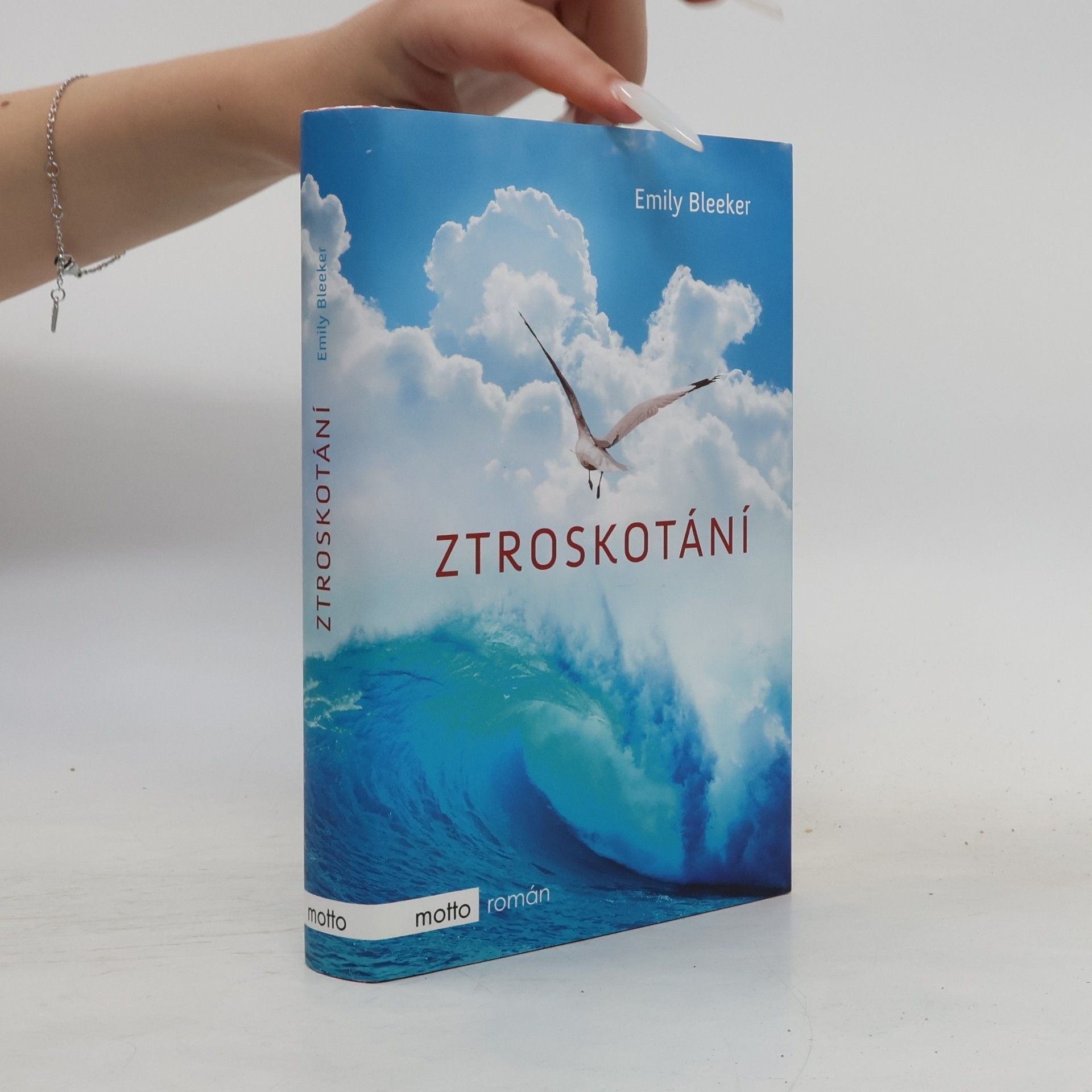 Emily Bleeker Ztroskotání