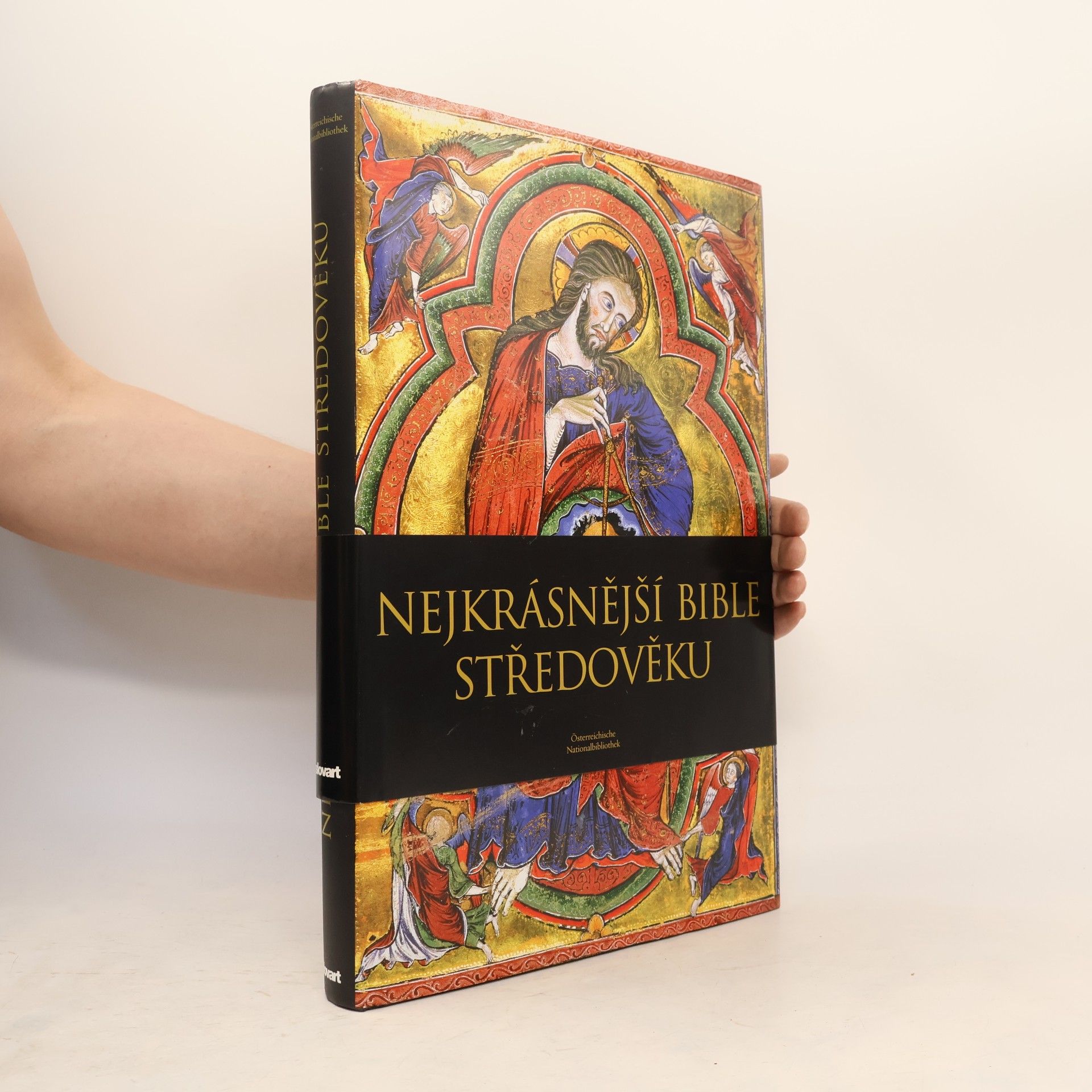Andreas Fingernagel Nejkrásnější bible středověku