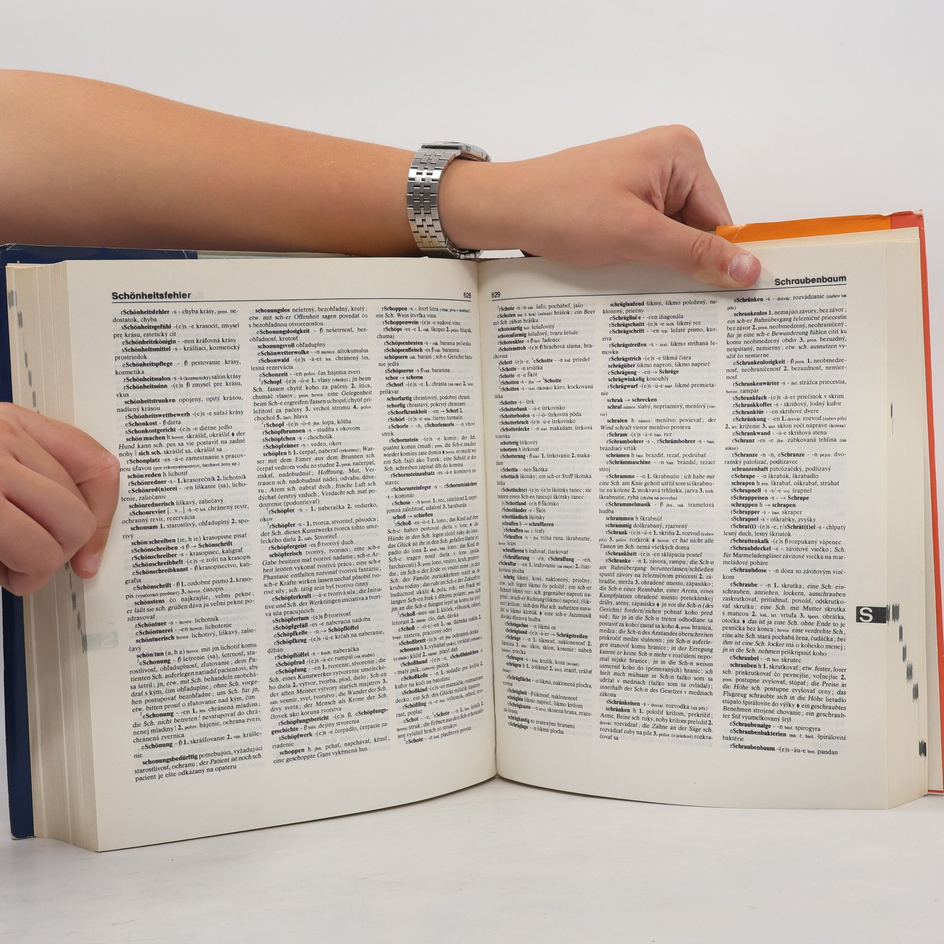 Mária Čierna Nemecko-slovenský slovník. Deutsch-slowakisches Wörterbuch