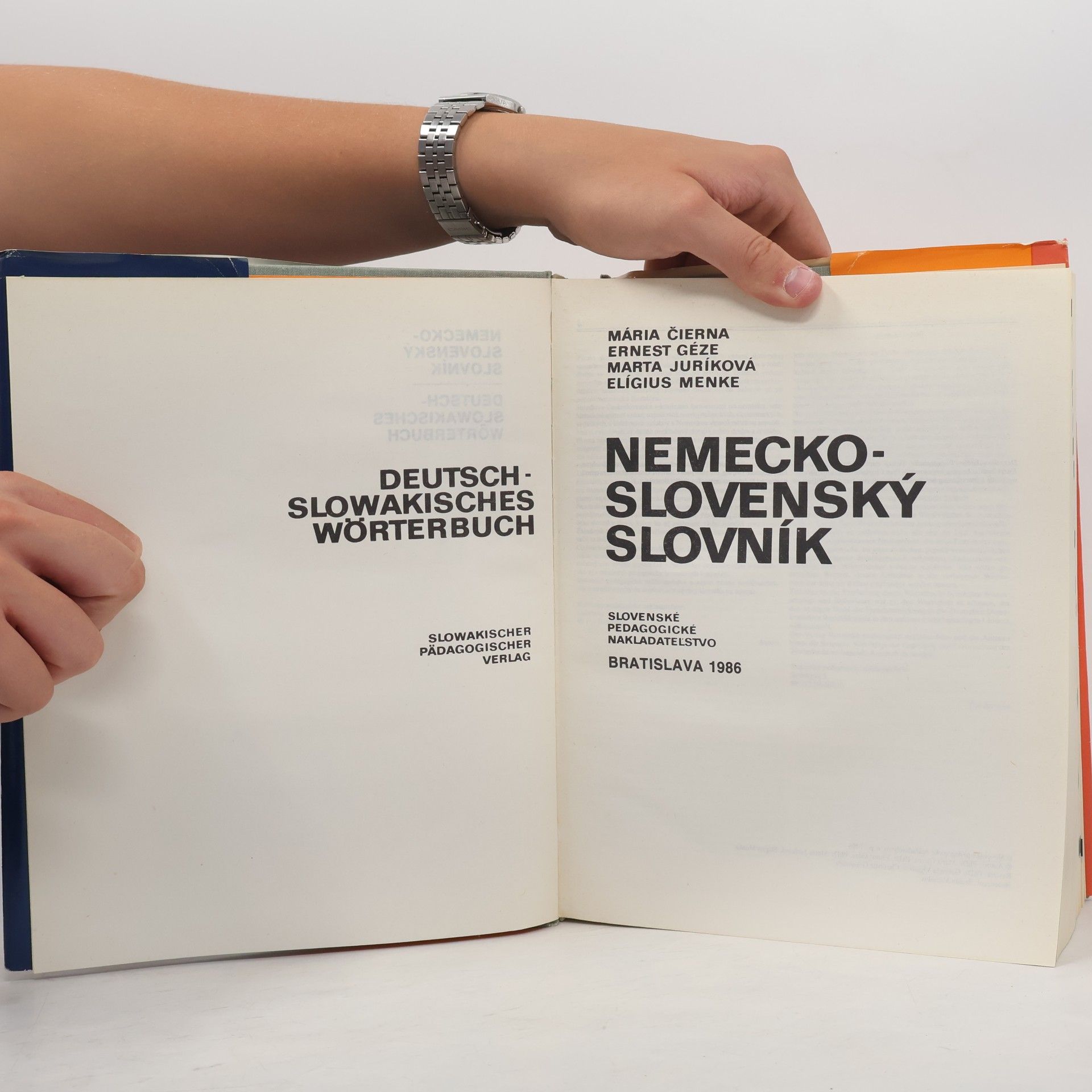 Mária Čierna Nemecko-slovenský slovník. Deutsch-slowakisches Wörterbuch