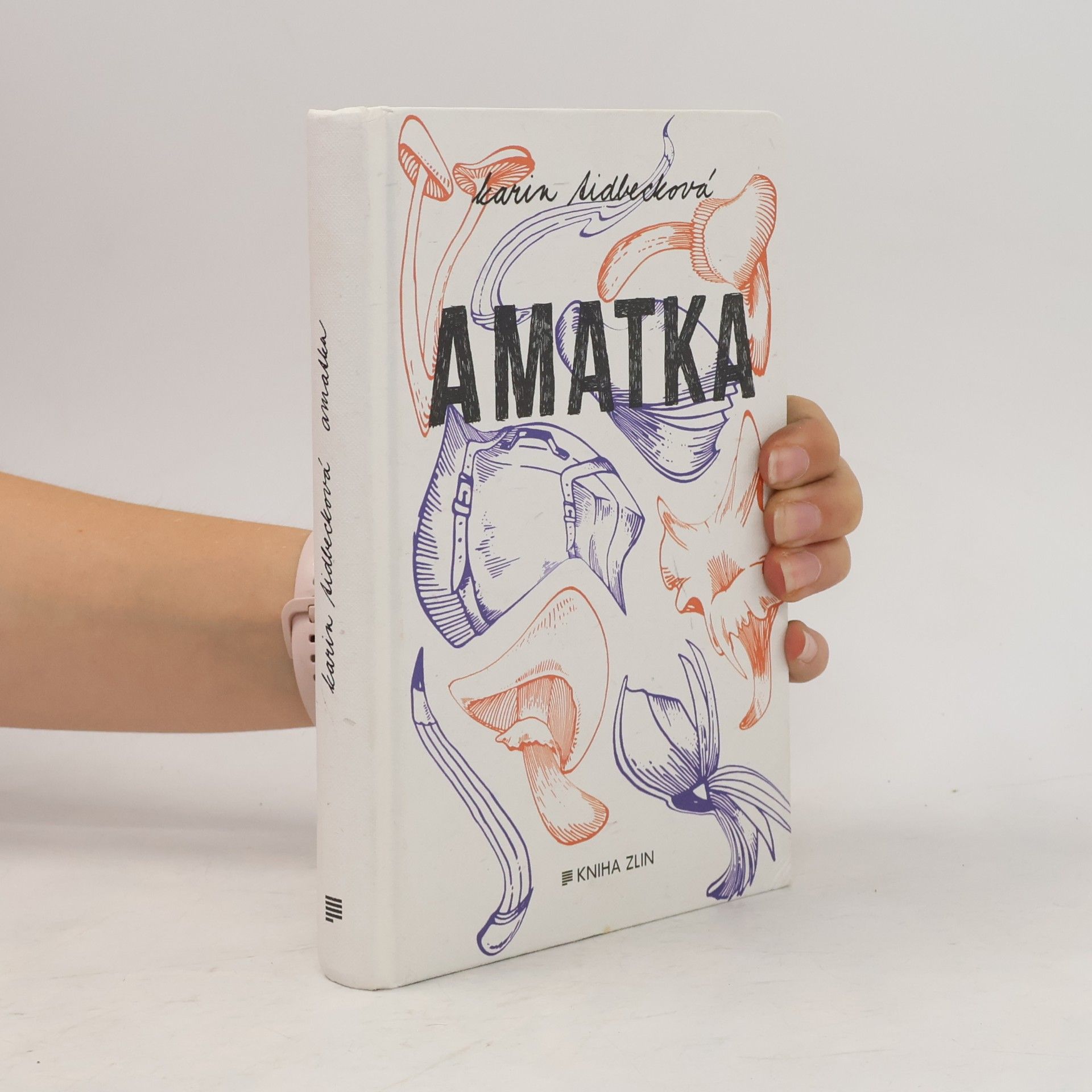 Karin Tidbeck Amatka