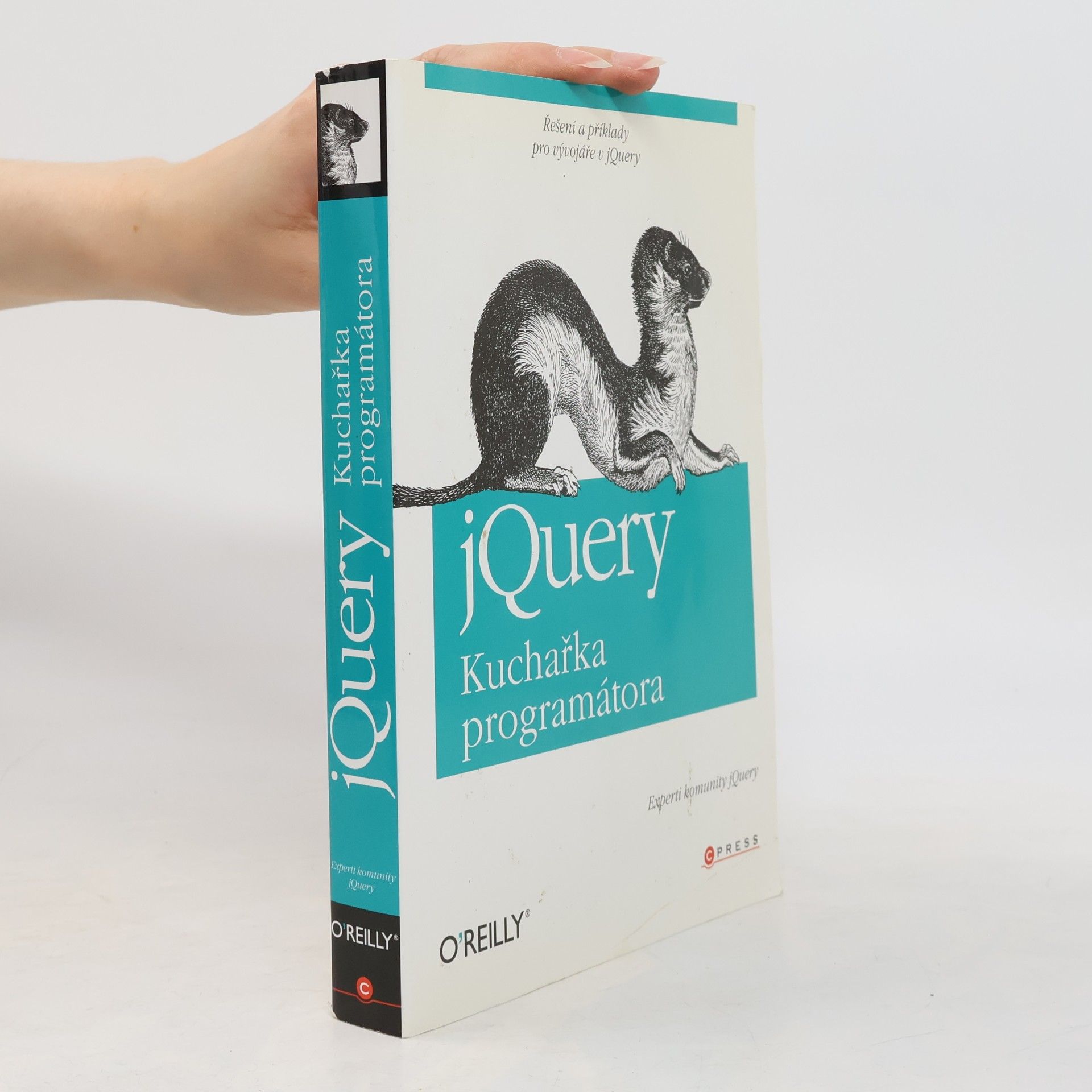 Autorenkollektiv jQuery - kuchařka programátora