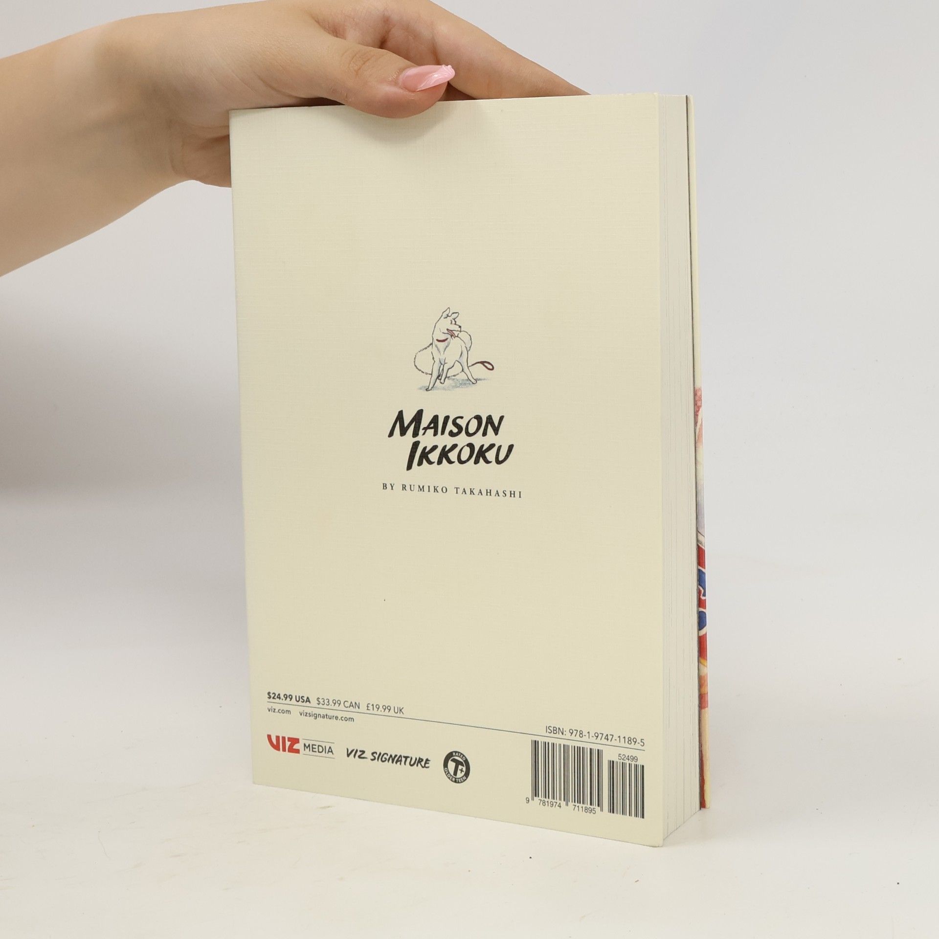 Rumiko Takahashi Maison Ikkoku 3