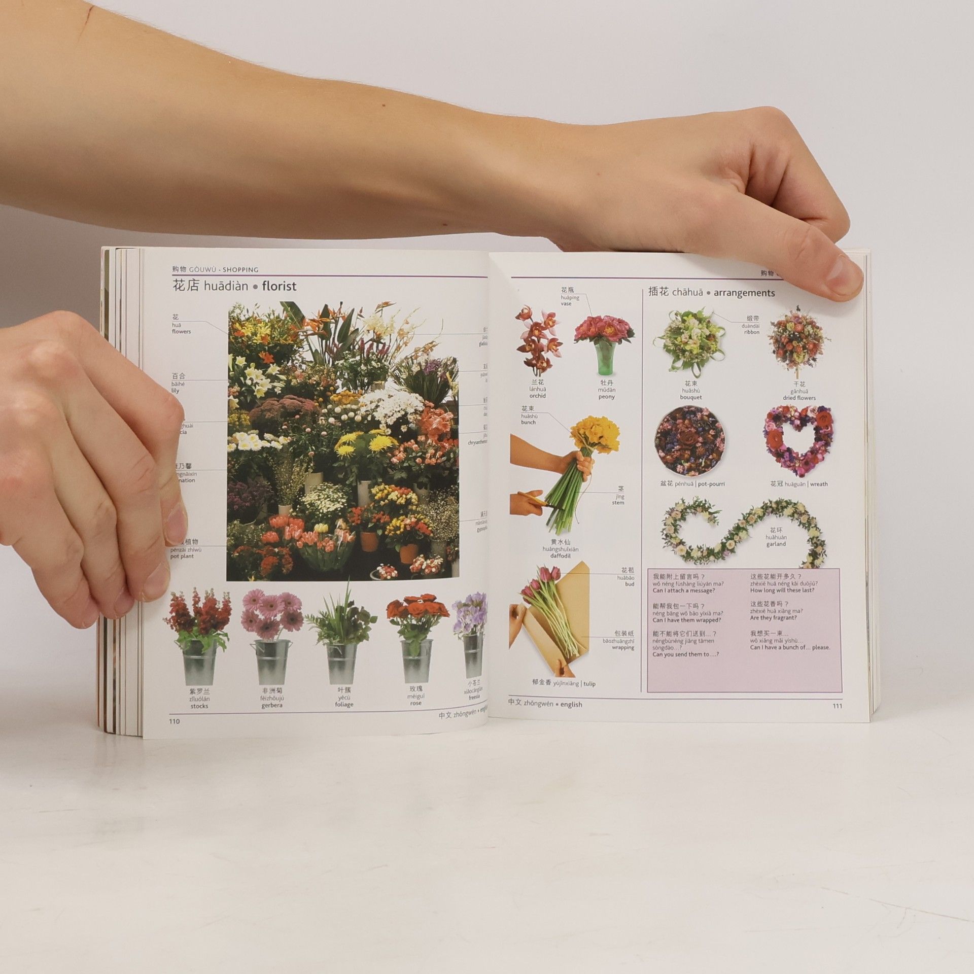 Angela Wilkes Chinese-English Visual Bilingual Dictionary
