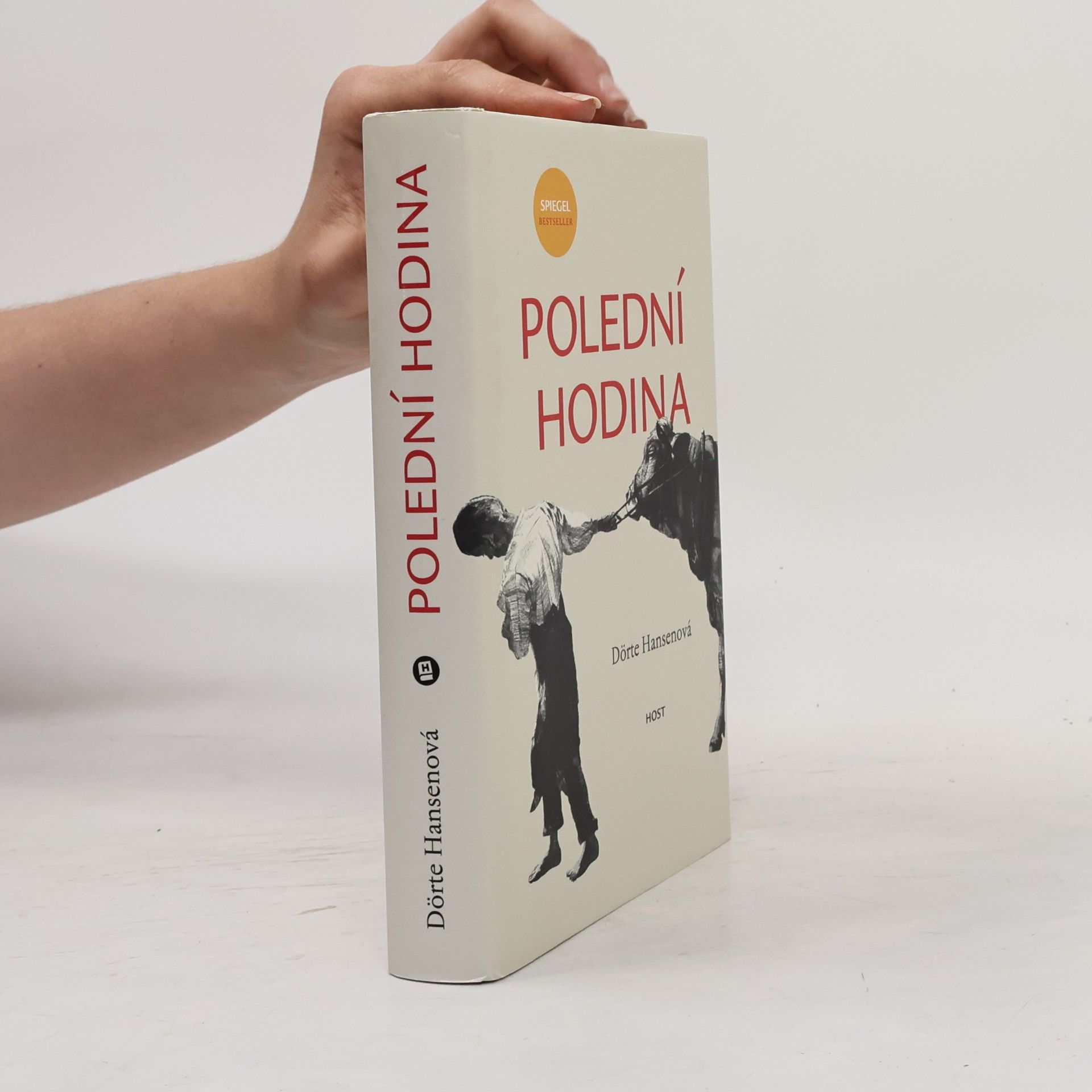 Dörte Hansen Polední hodina