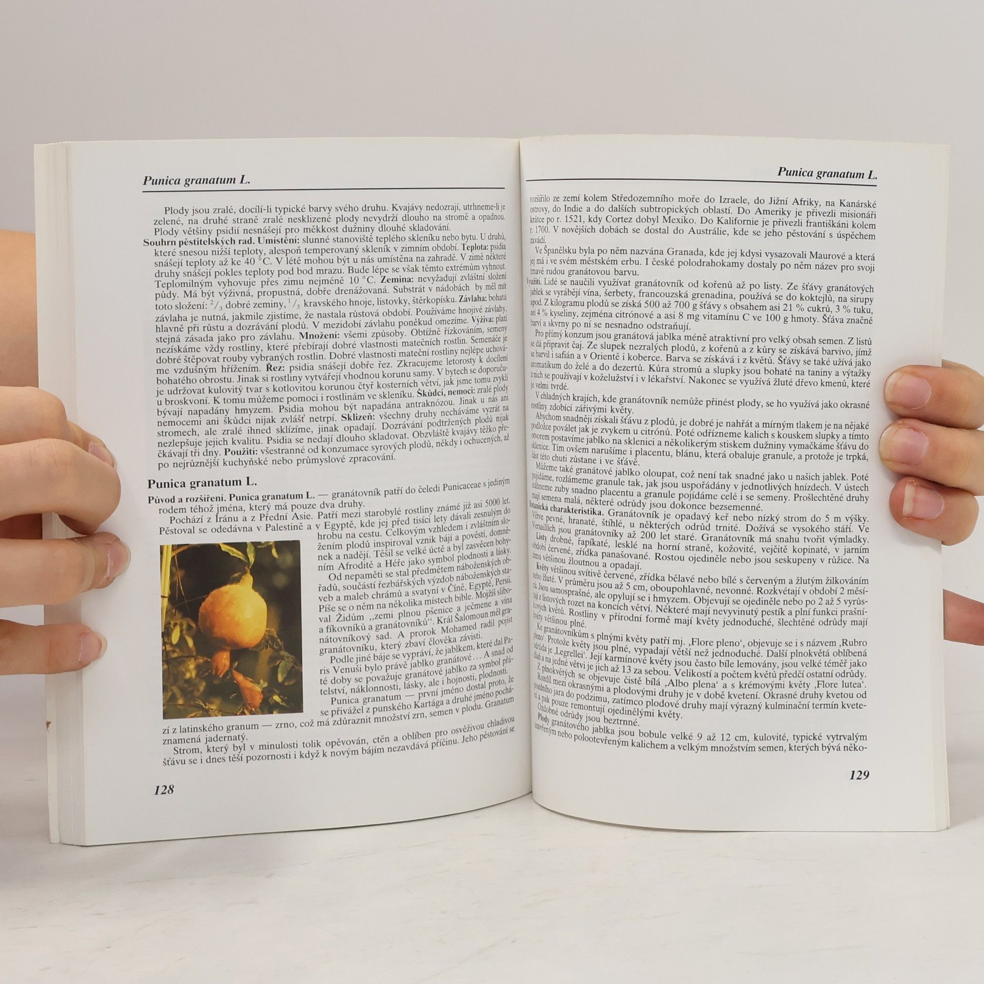 Jiří Šamla Subtropy II. Pěstitelské praktikum B