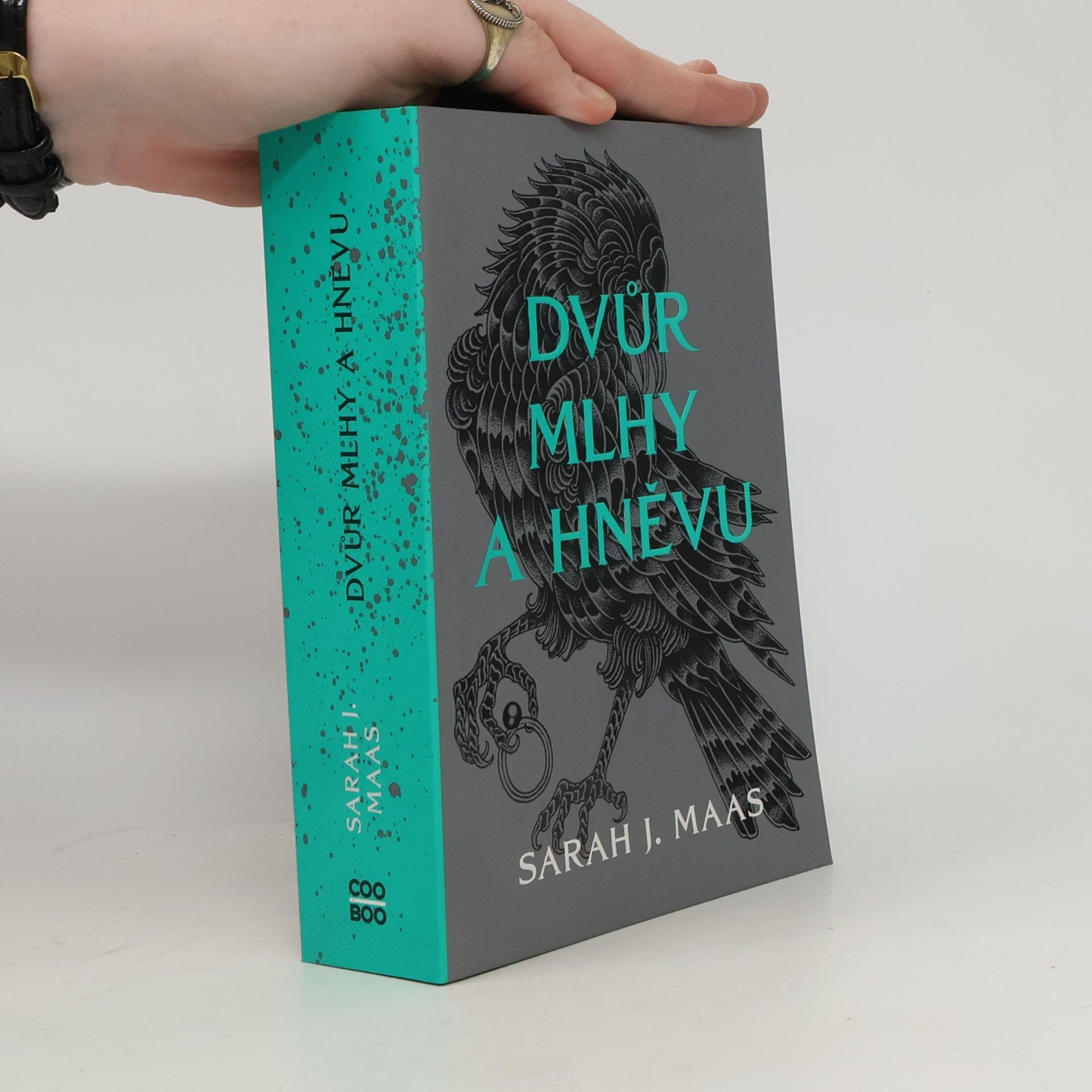 Sarah J. Maasová Dvůr mlhy a hněvu