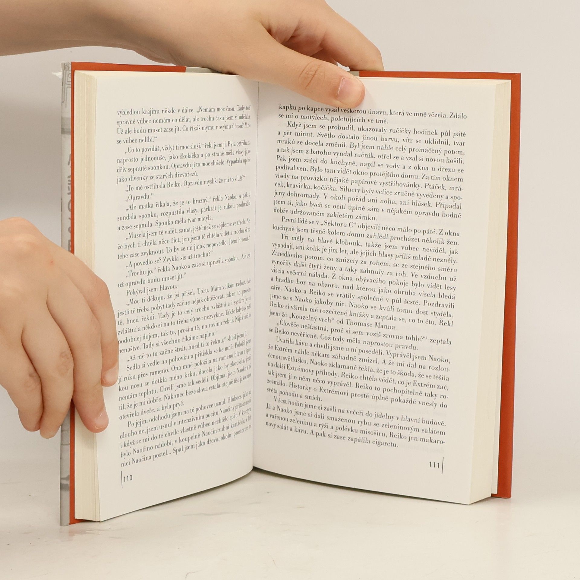 Haruki Murakami Norské dřevo