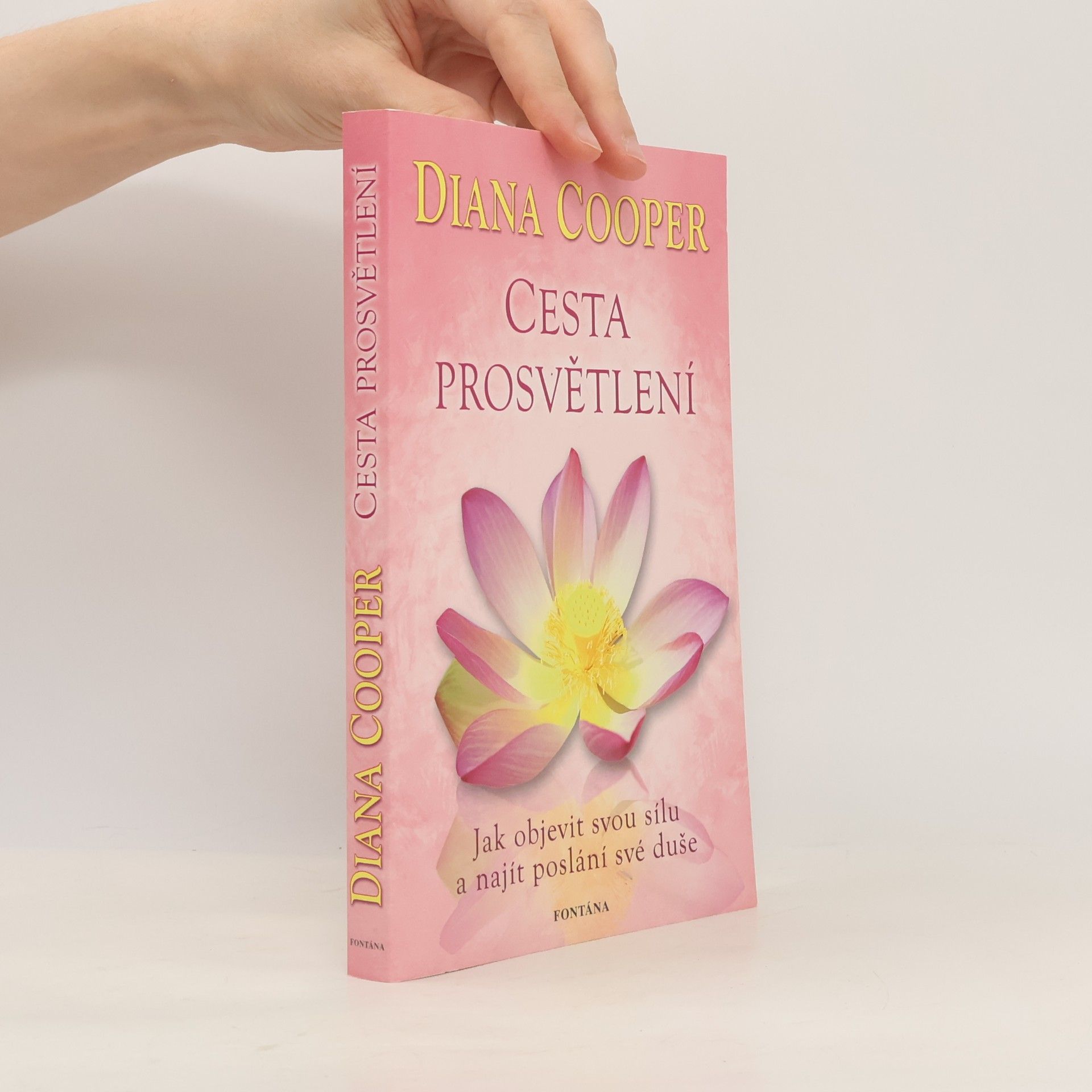 Diana Cooper Cesta prosvětlení : jak objevit svou sílu a najít poslání své duše