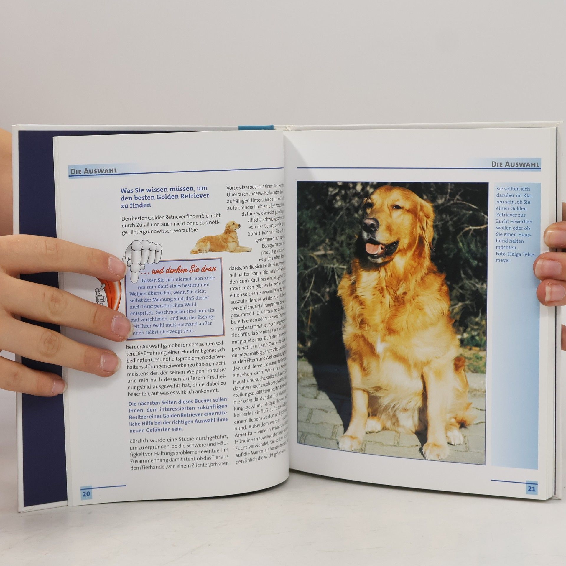Lowell J. Ackerman Mein gesunder Golden Retriever