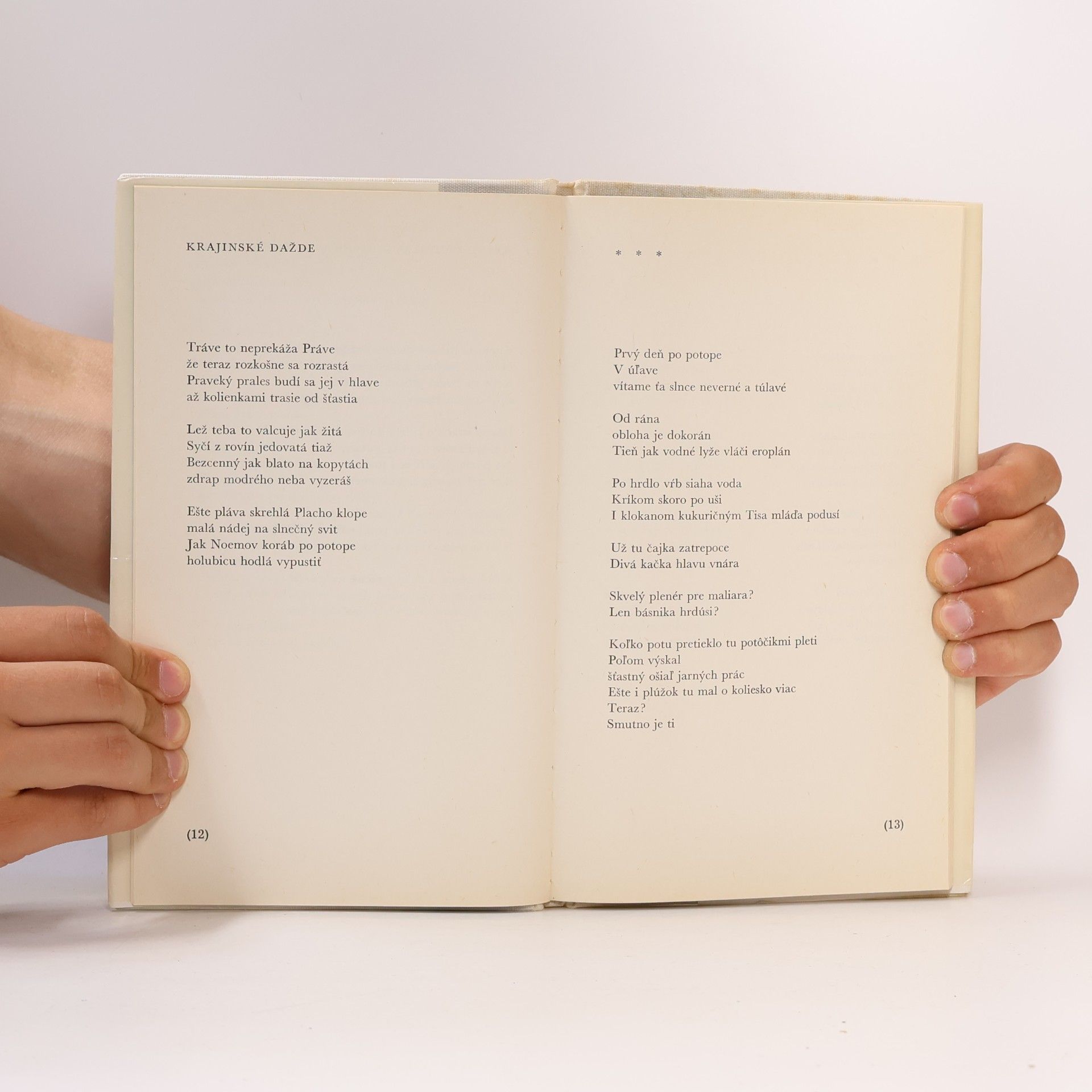 Mikuláš Kasarda Krajinské dažde