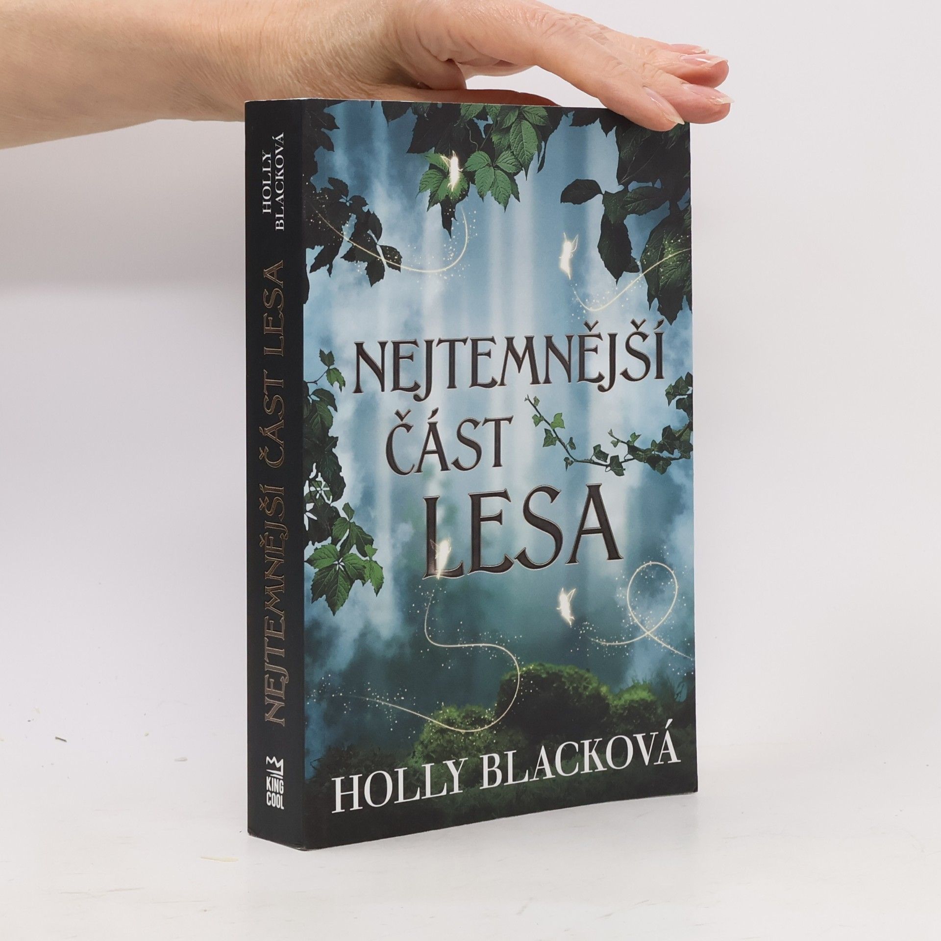 Holly Black Nejtemnější část lesa