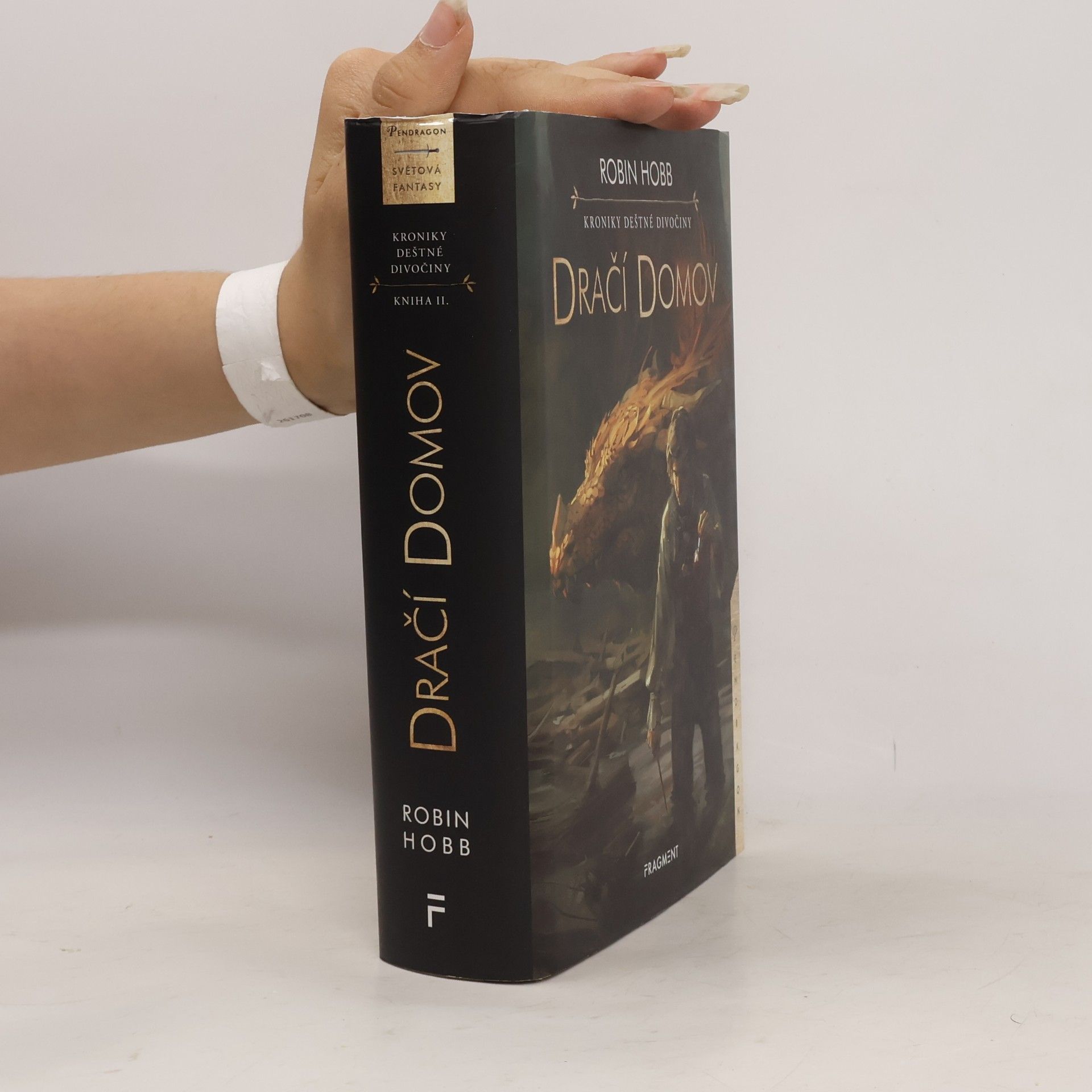 Robin Hobb Dračí domov