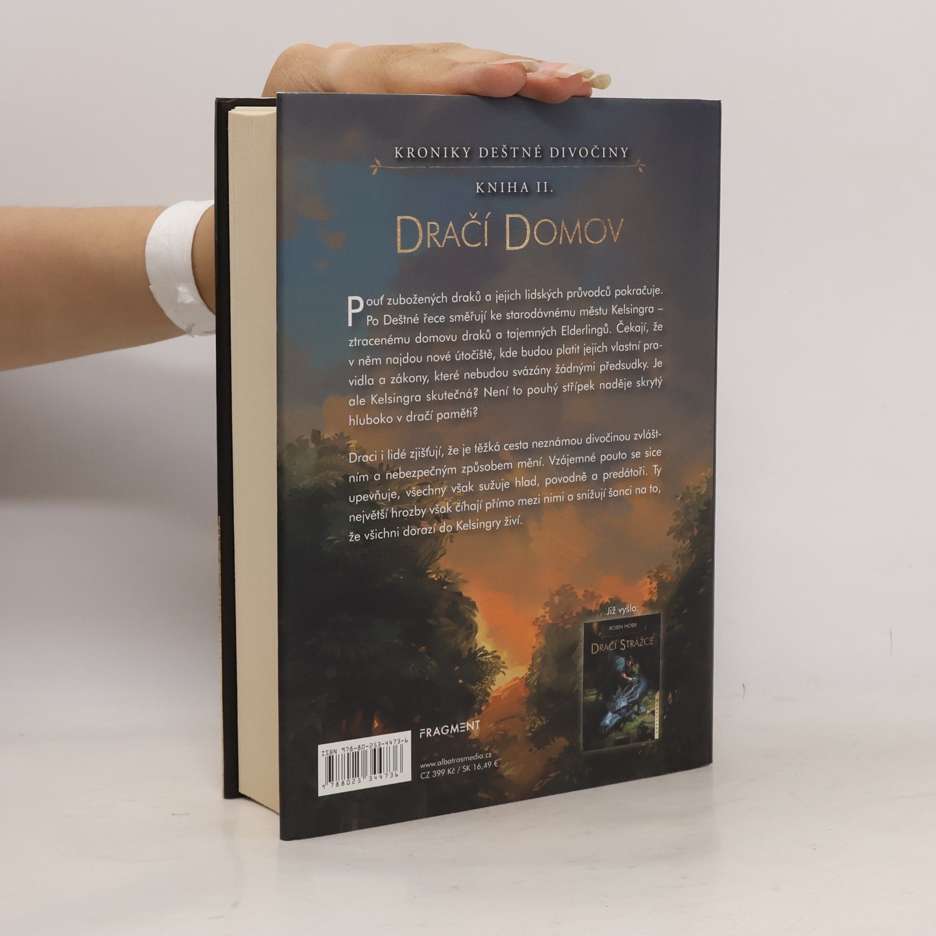 Robin Hobb Dračí domov