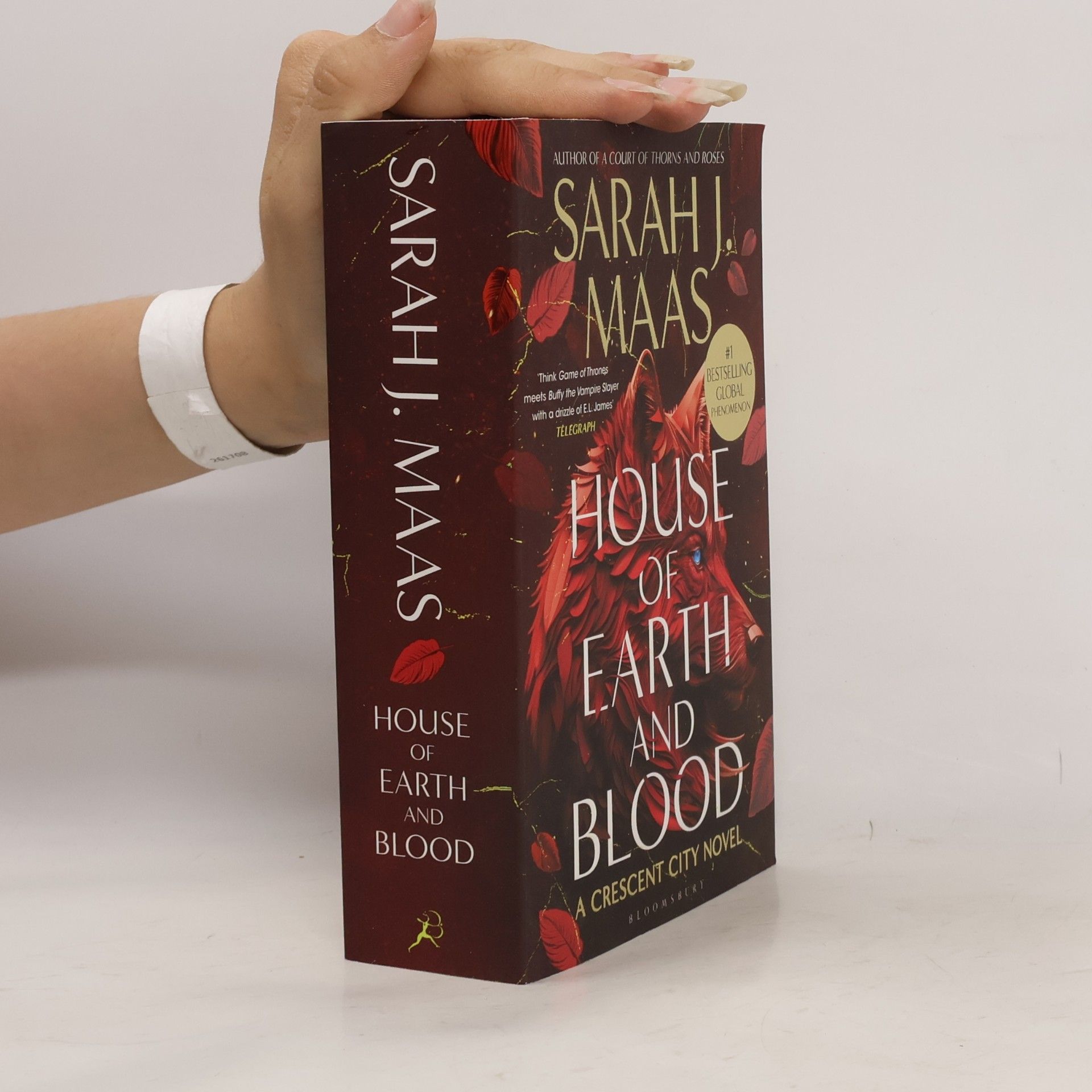 Sarah J. Maas House of Earth and Blood
