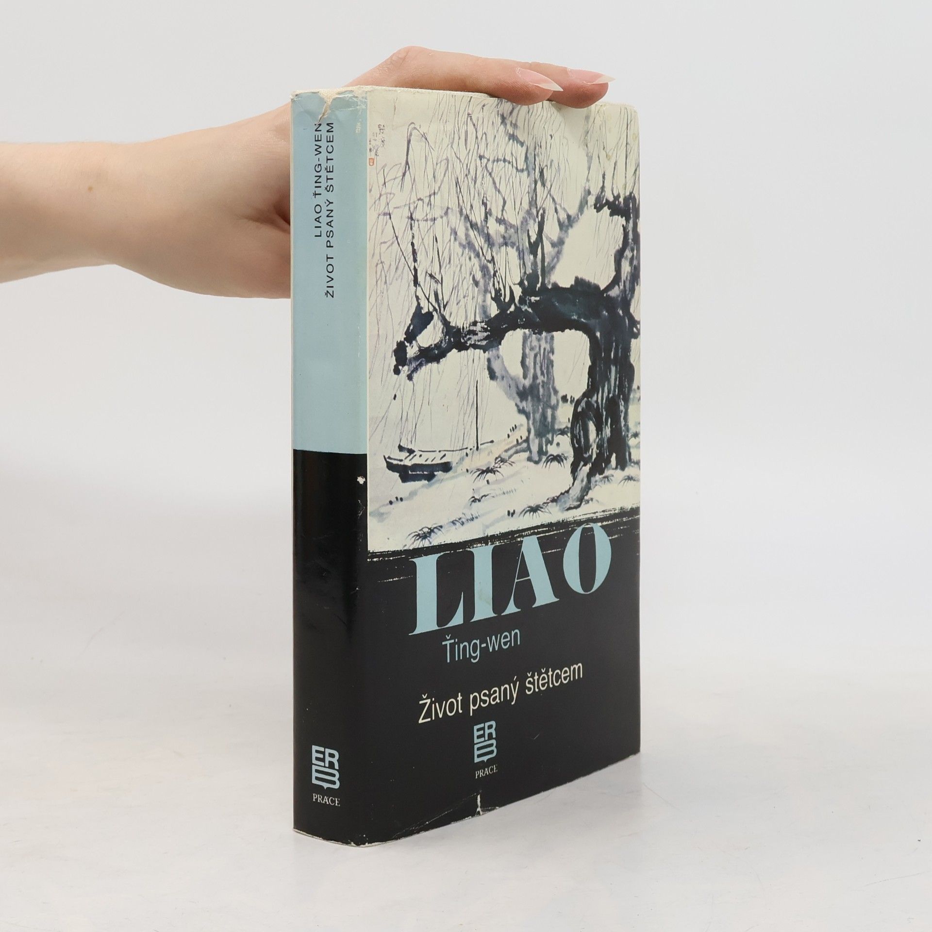 Ťing wen Liao Život psaný štětcem
