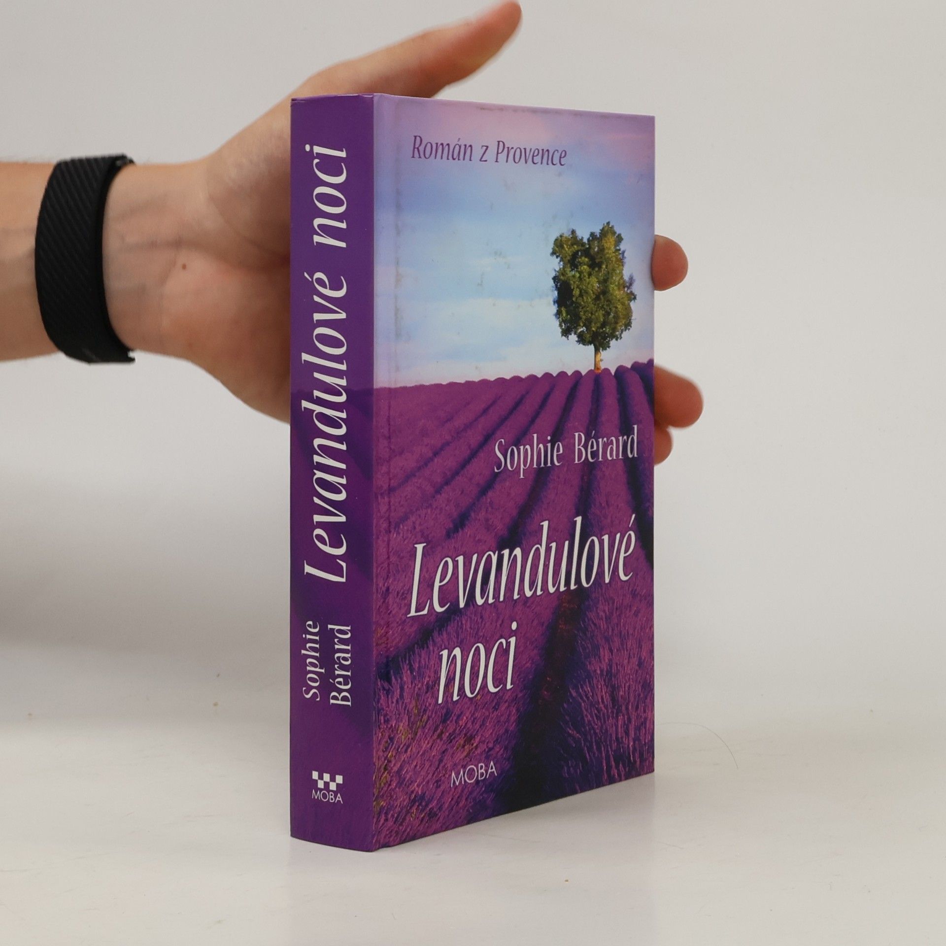 Kerstin Gier Levandulové noci. Román z Provence