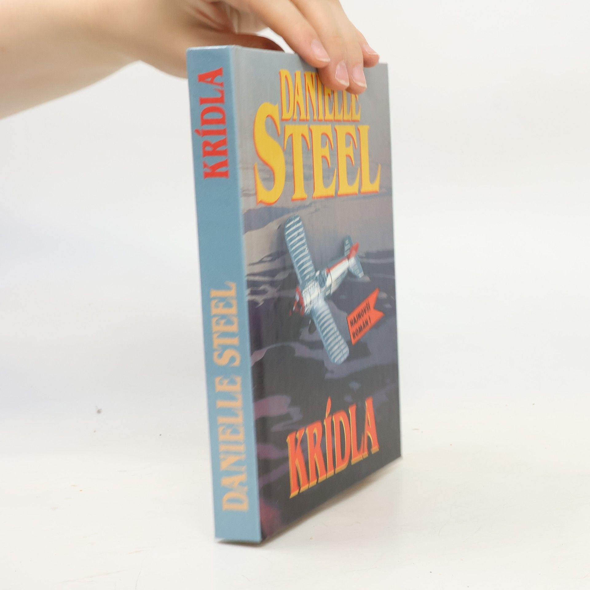 Danielle Steel Krídla