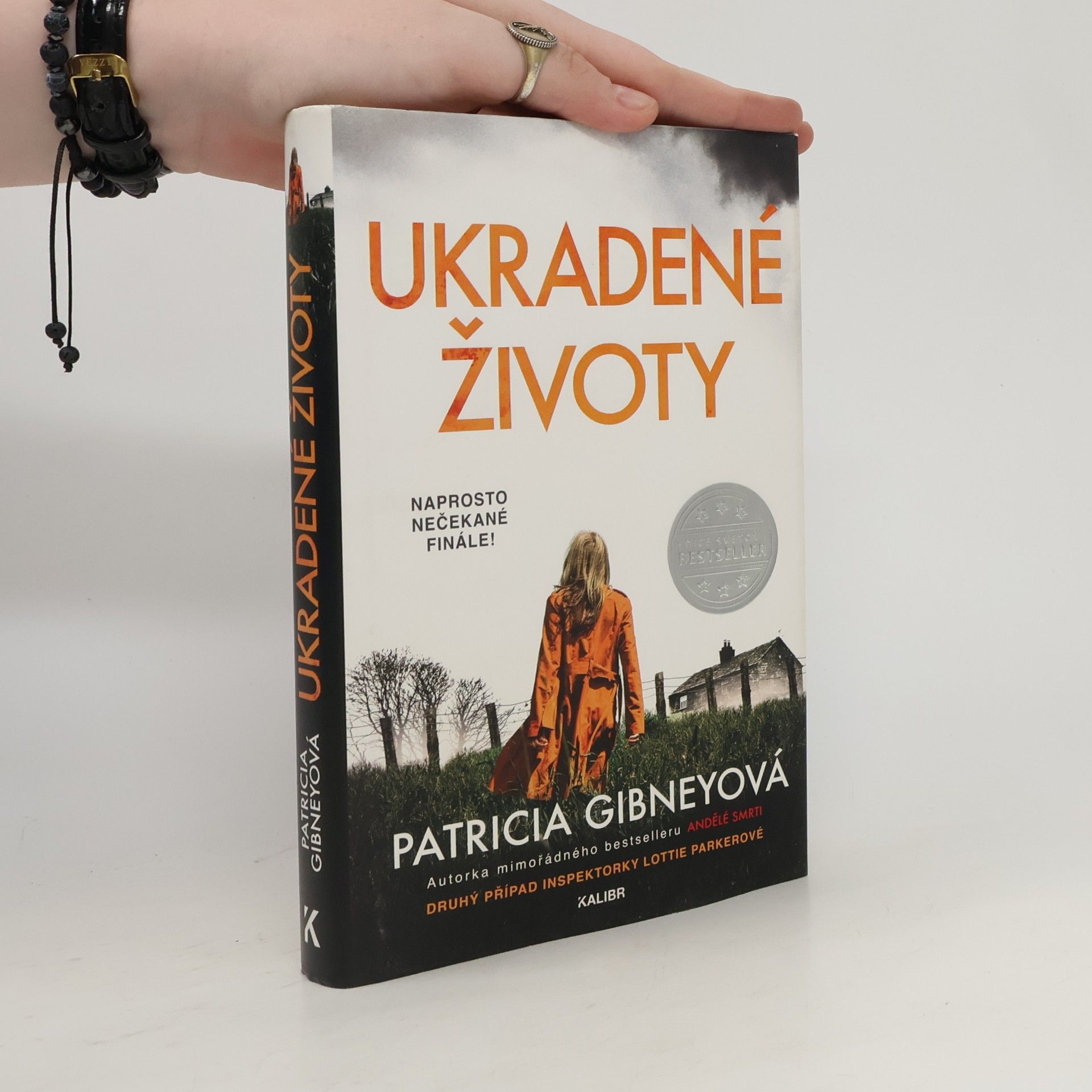 Patricia Gibney Ukradené životy