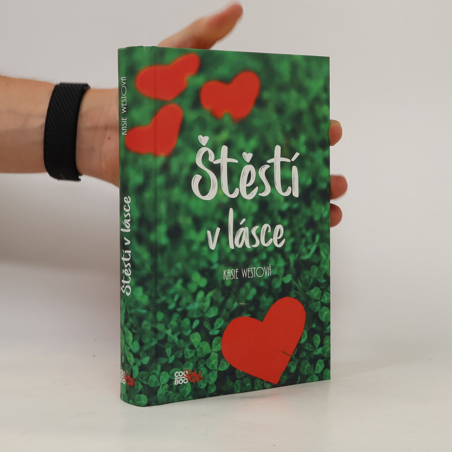 Kasie West Štěstí v lásce