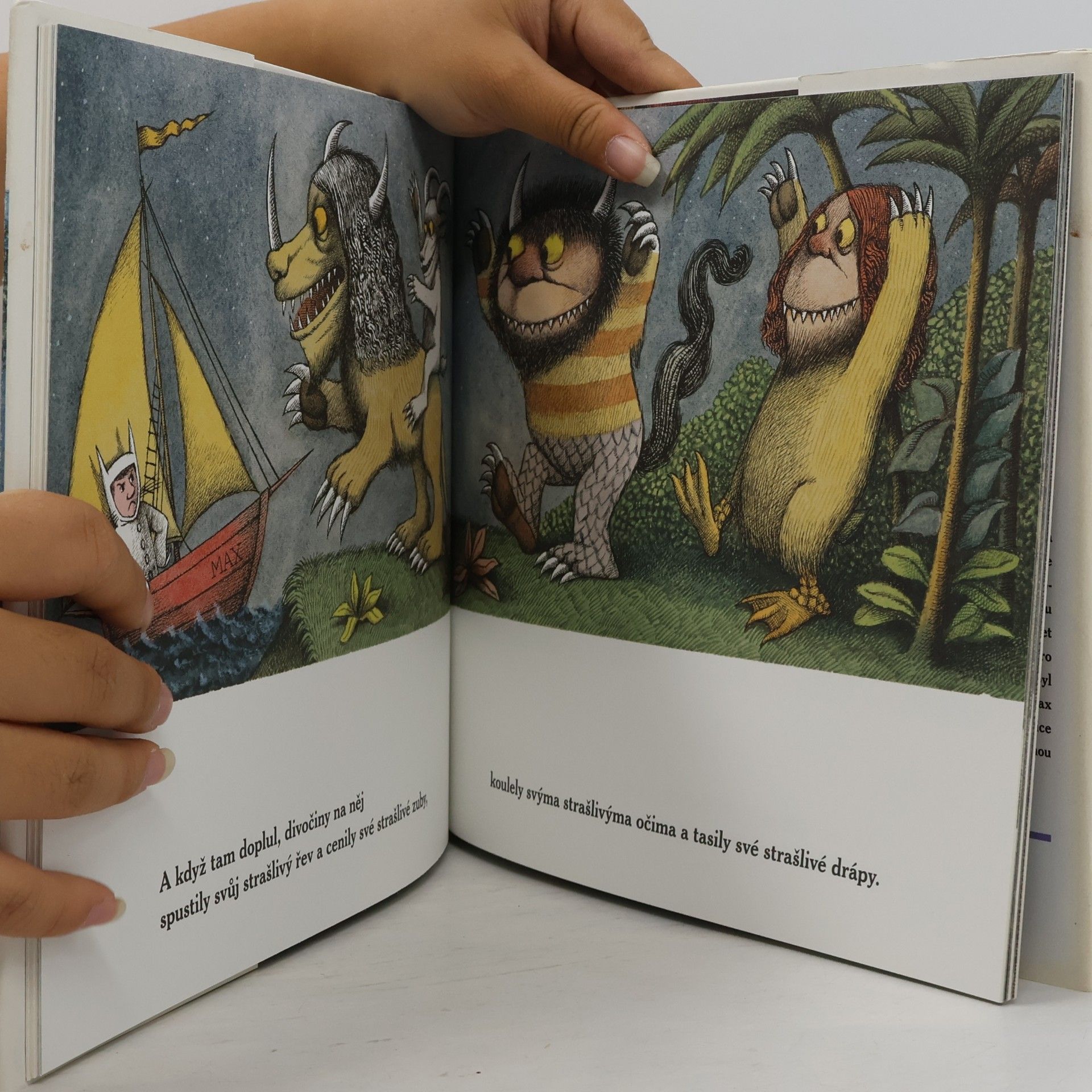 Maurice Sendak Tam kde žijí divočiny