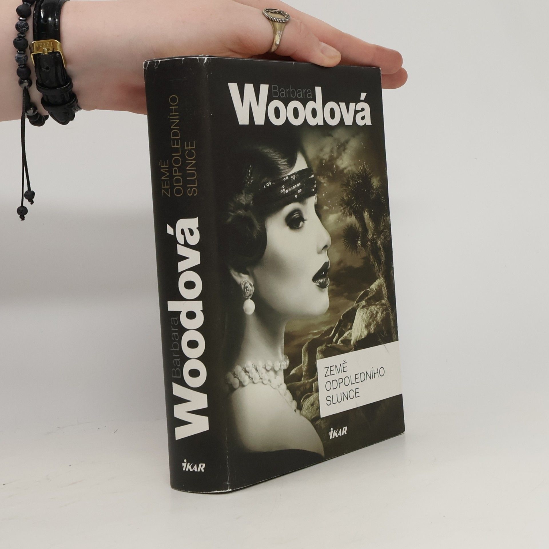 Barbara Wood Země odpoledního slunce