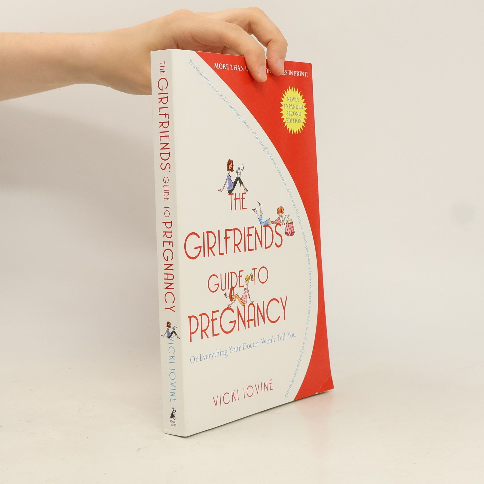 Vicki Lovine The Girlfriends' Guide to Pregnancy