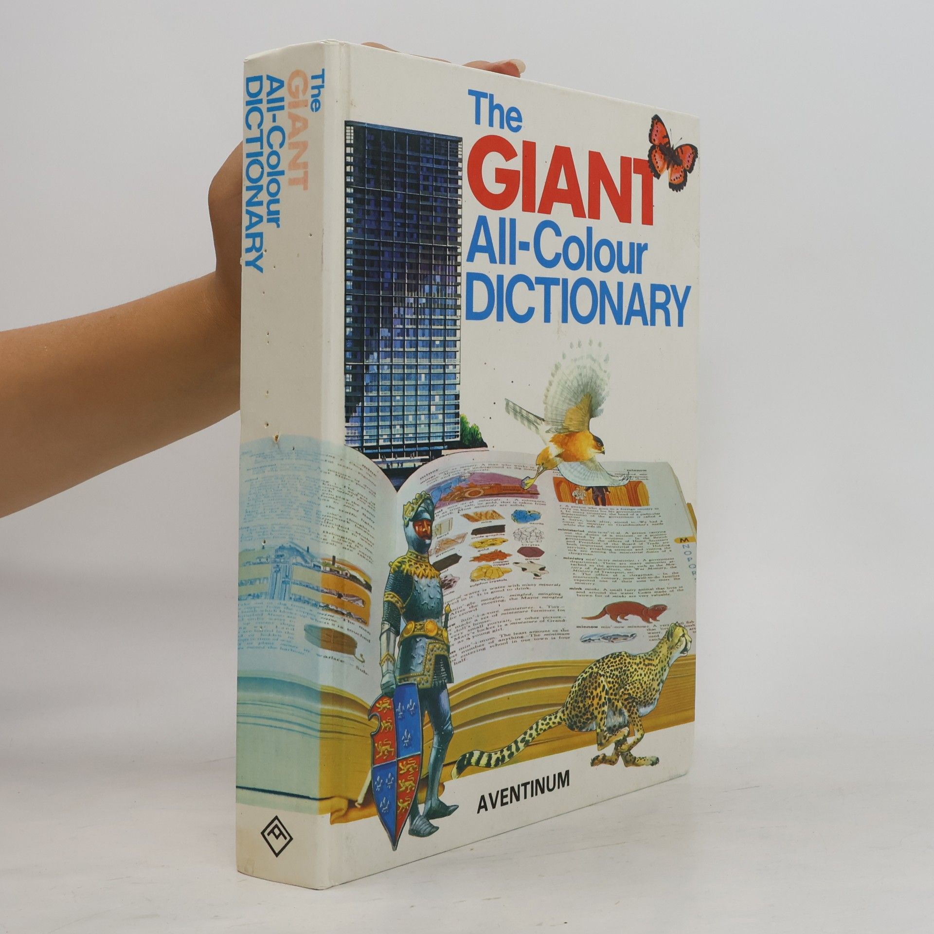 Stuart A. Courtis The Giant All-Colour Dictionary