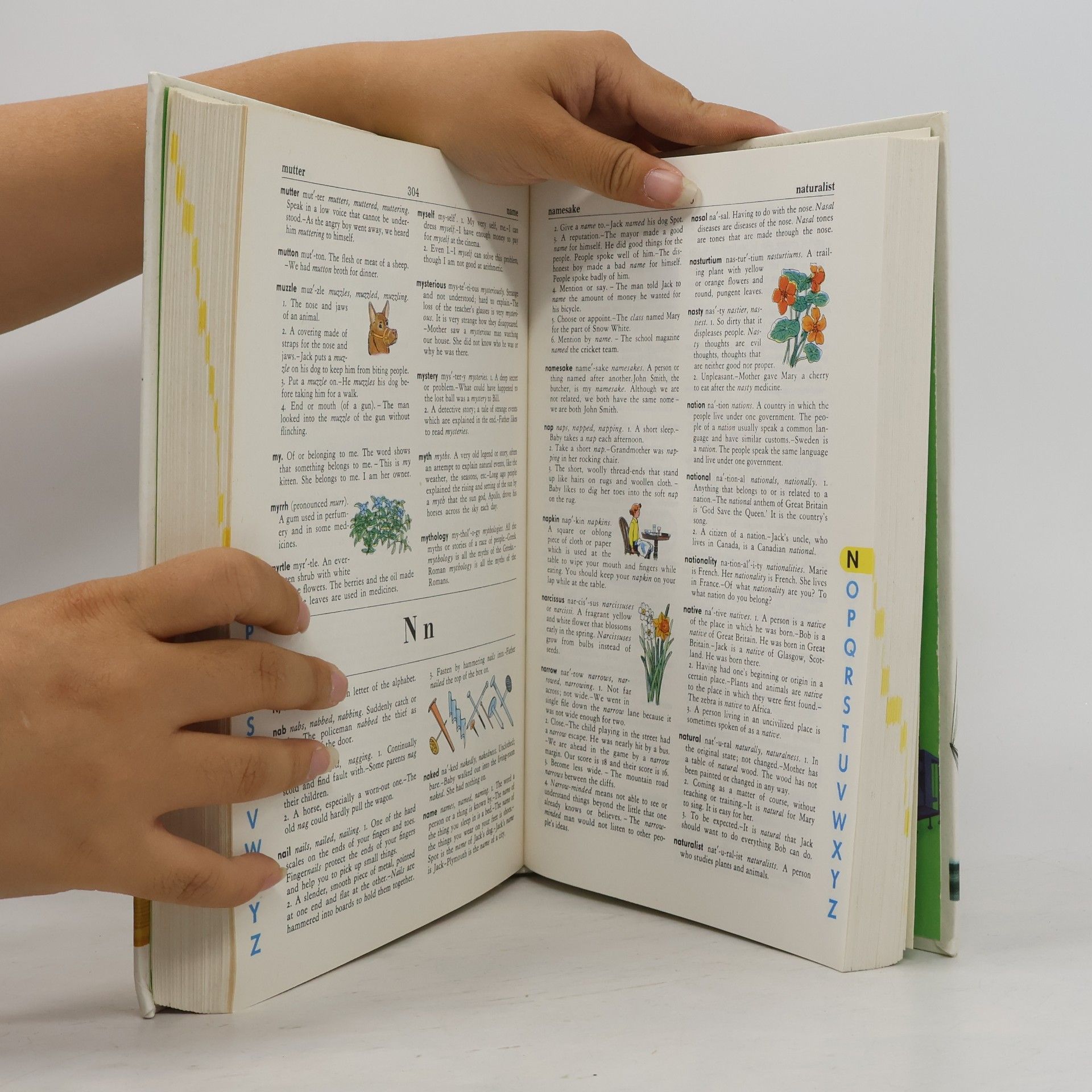 Stuart A. Courtis The Giant All-Colour Dictionary
