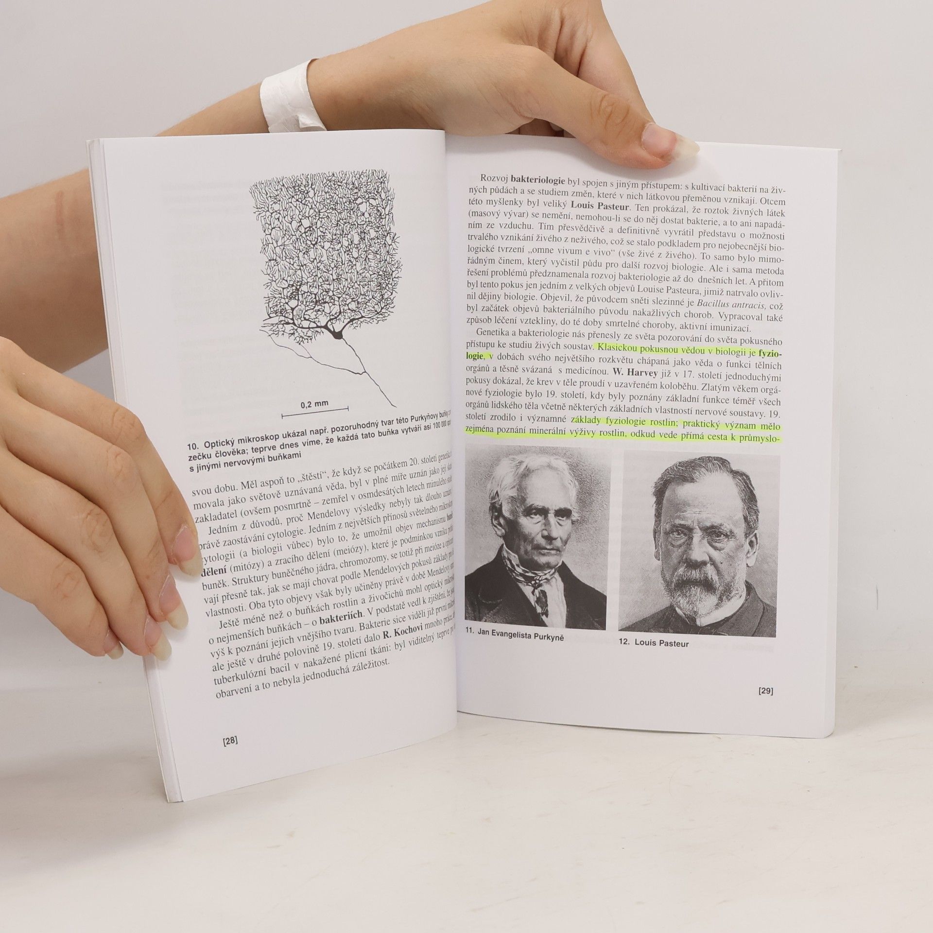 Václav Kubišta Obecná biologie. Úvodní učební text biologie pro 1. ročník gymnázií