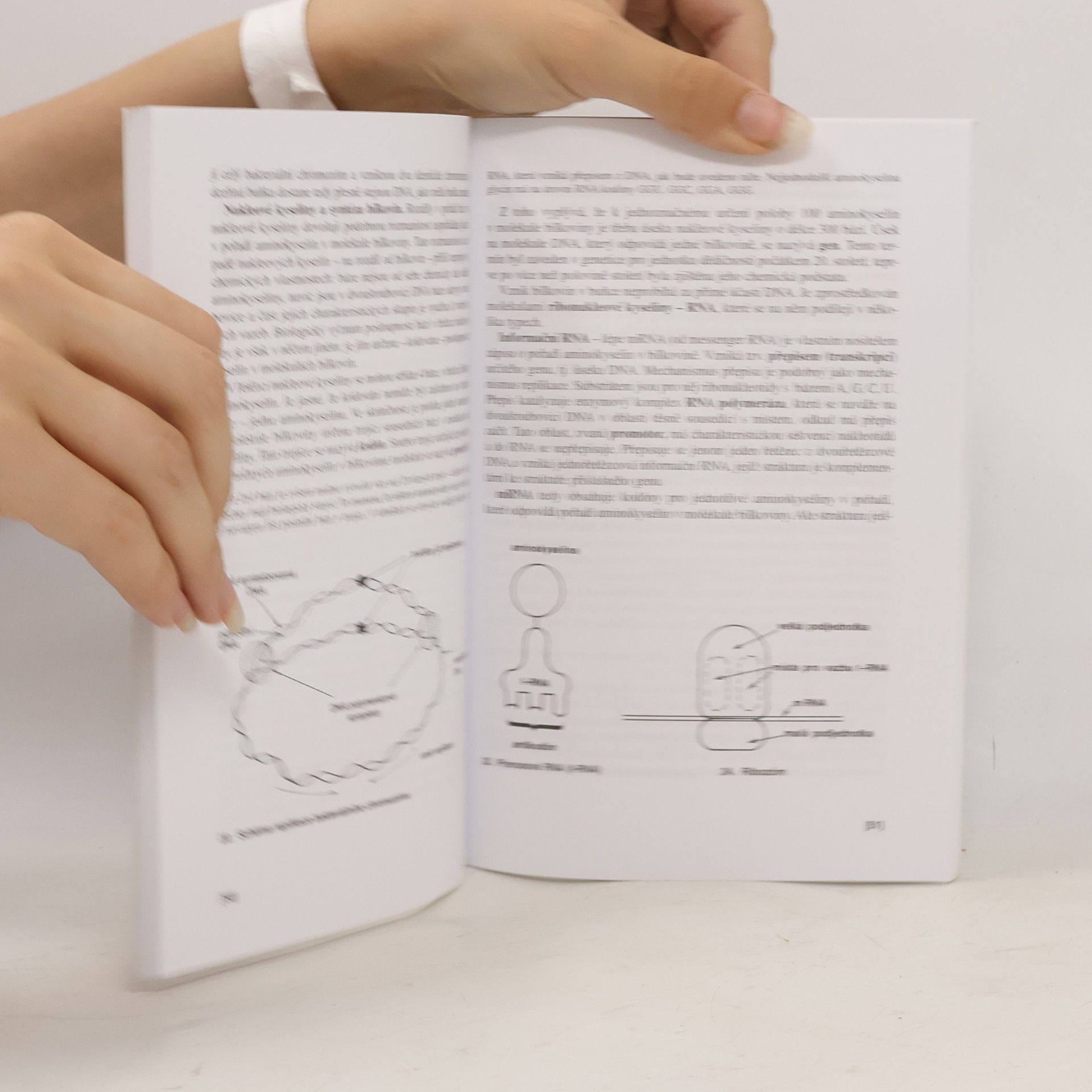 Václav Kubišta Obecná biologie. Úvodní učební text biologie pro 1. ročník gymnázií