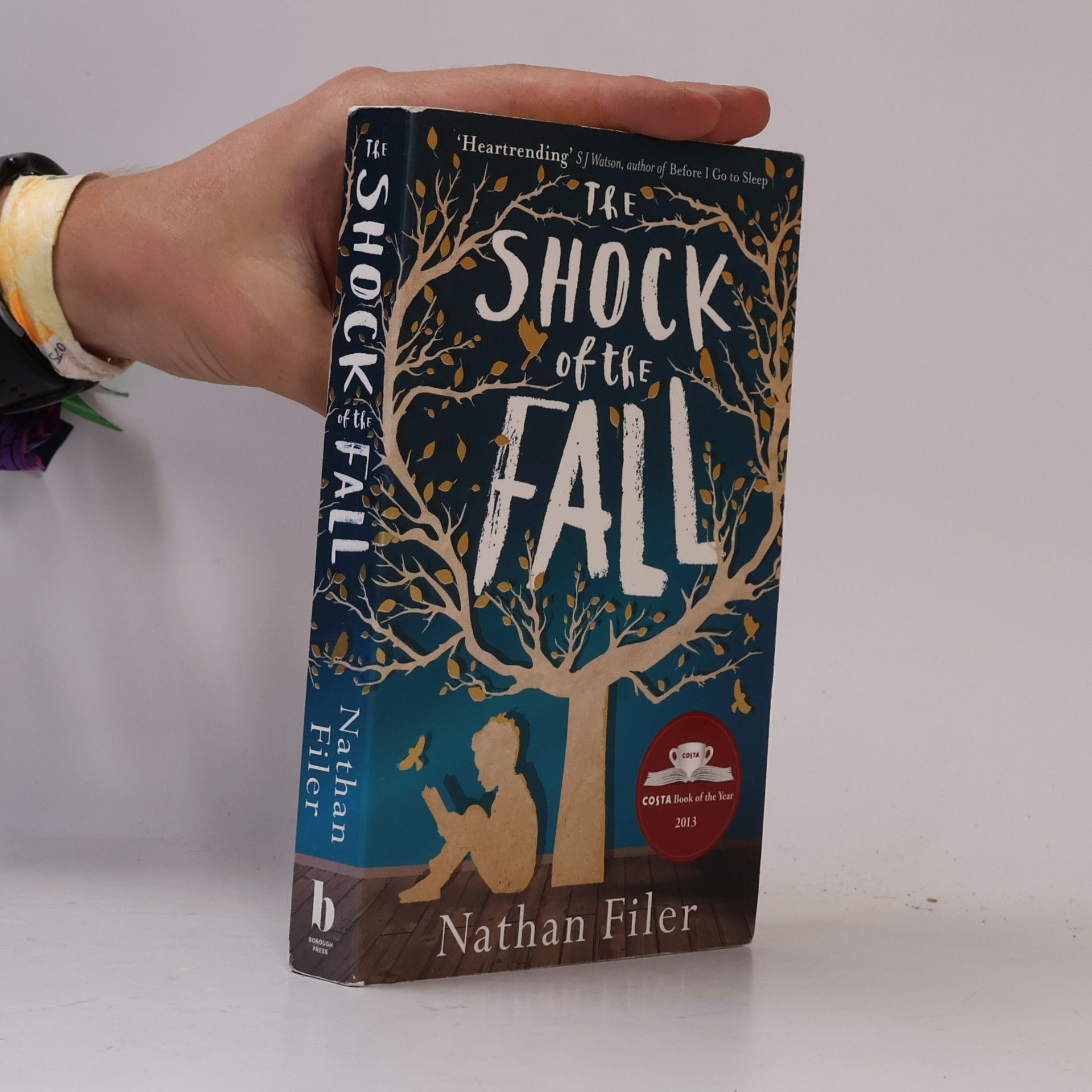 Nathan Filer The shock of the fall