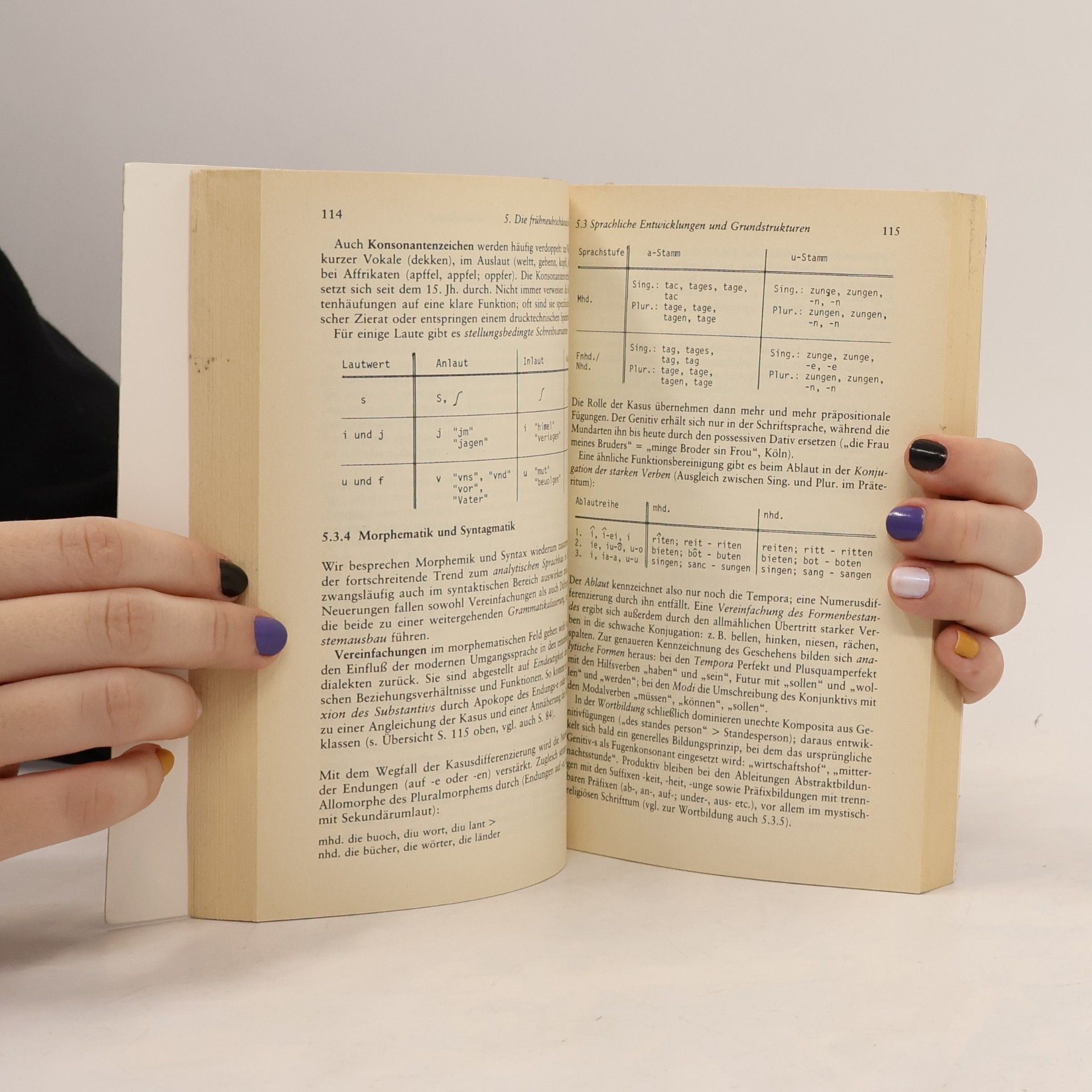 Gerhart Wolff Deutsche Sprachgeschichte