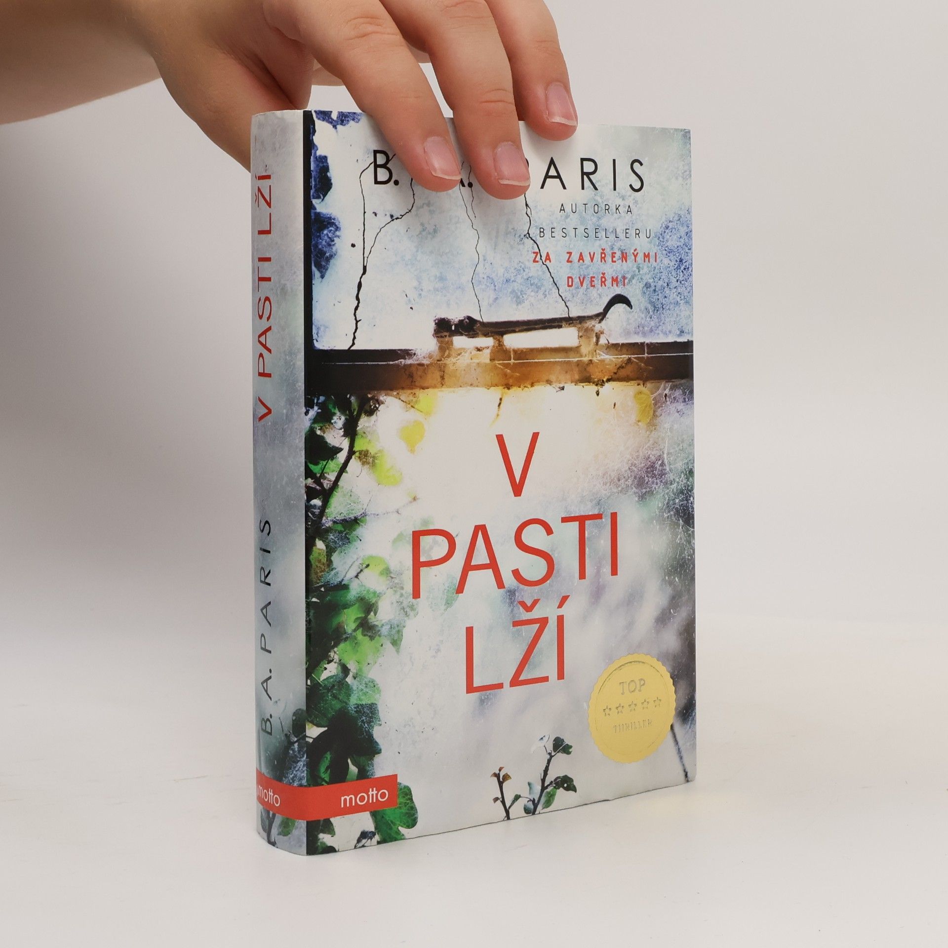 B. A. Paris V pasti lží