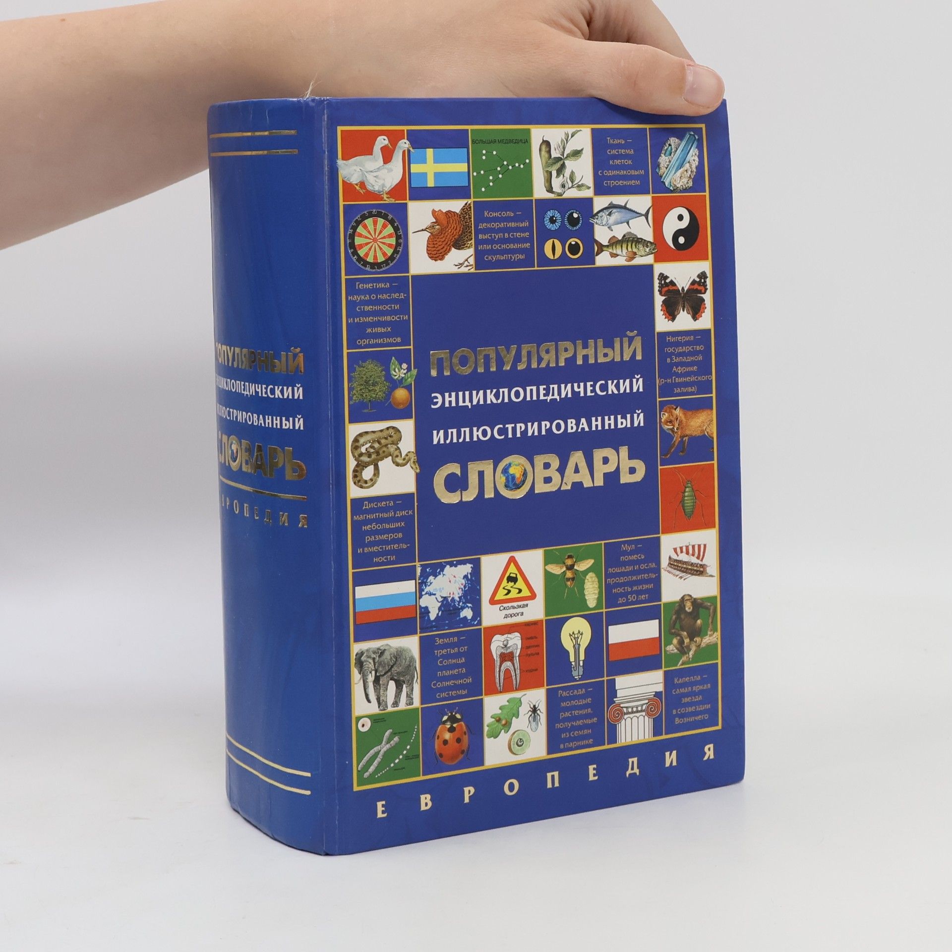 Сиф Куллерштранд Популярный энциклопедический иллюстрированный словарь