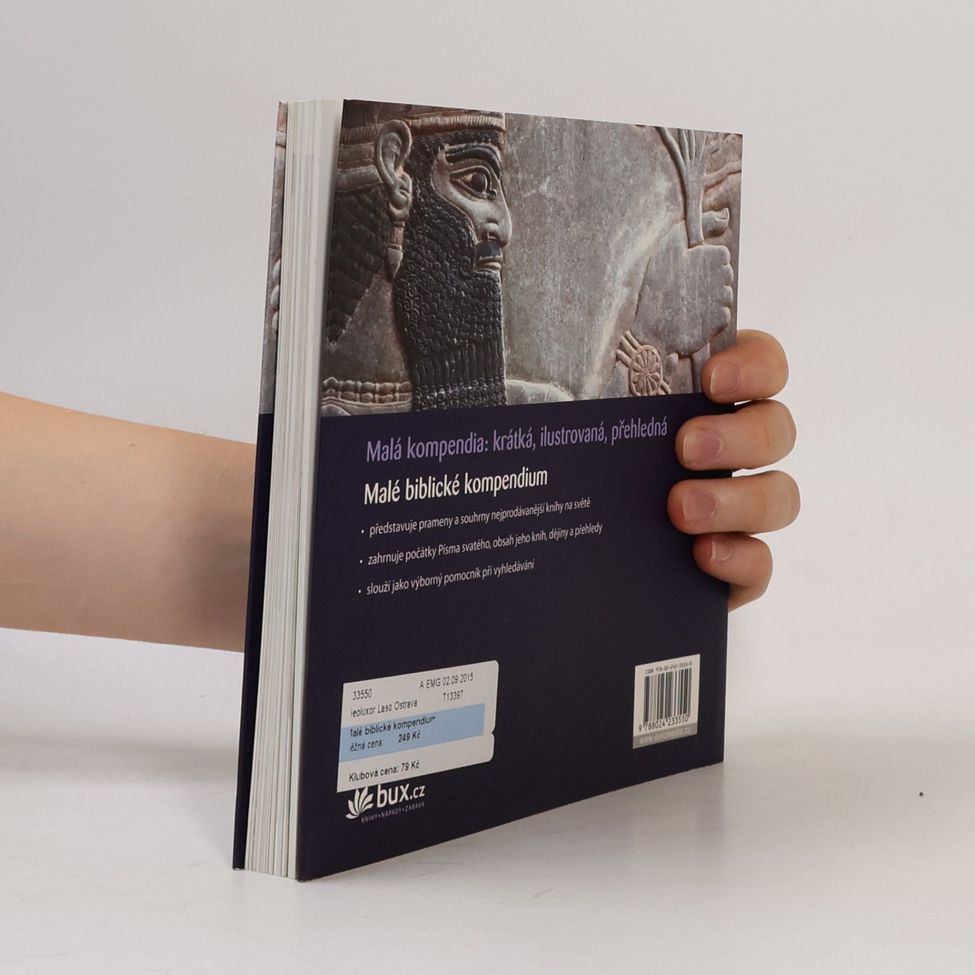 Debra Reid Malé biblické kompendium