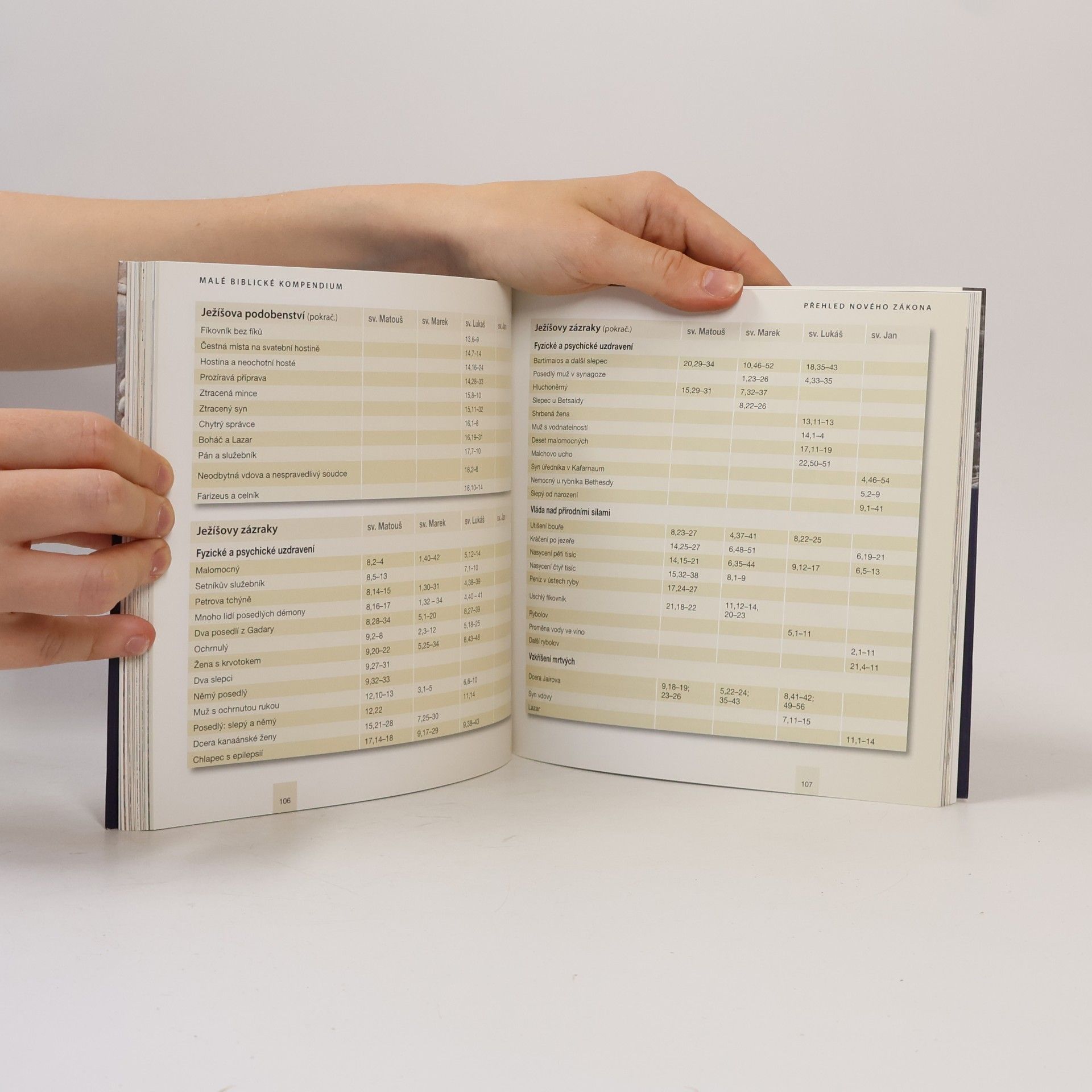 Debra Reid Malé biblické kompendium