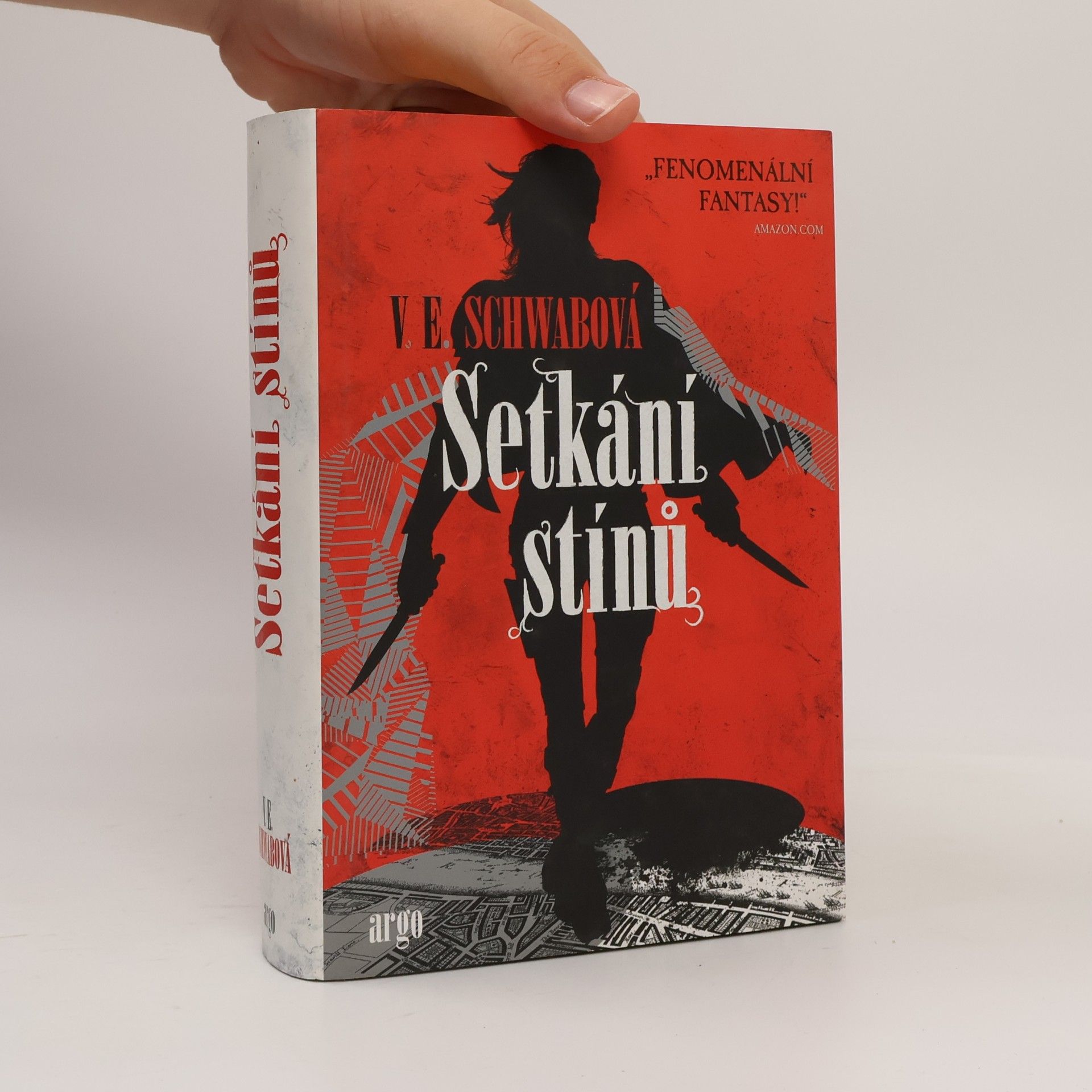 Victoria Schwabová Setkání stínů