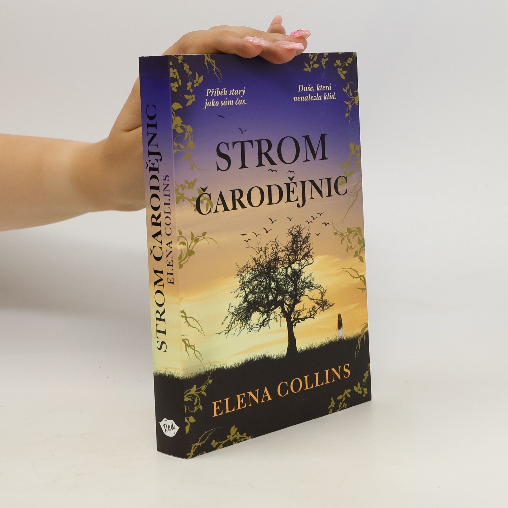 Judy Leigh Strom čarodějnic