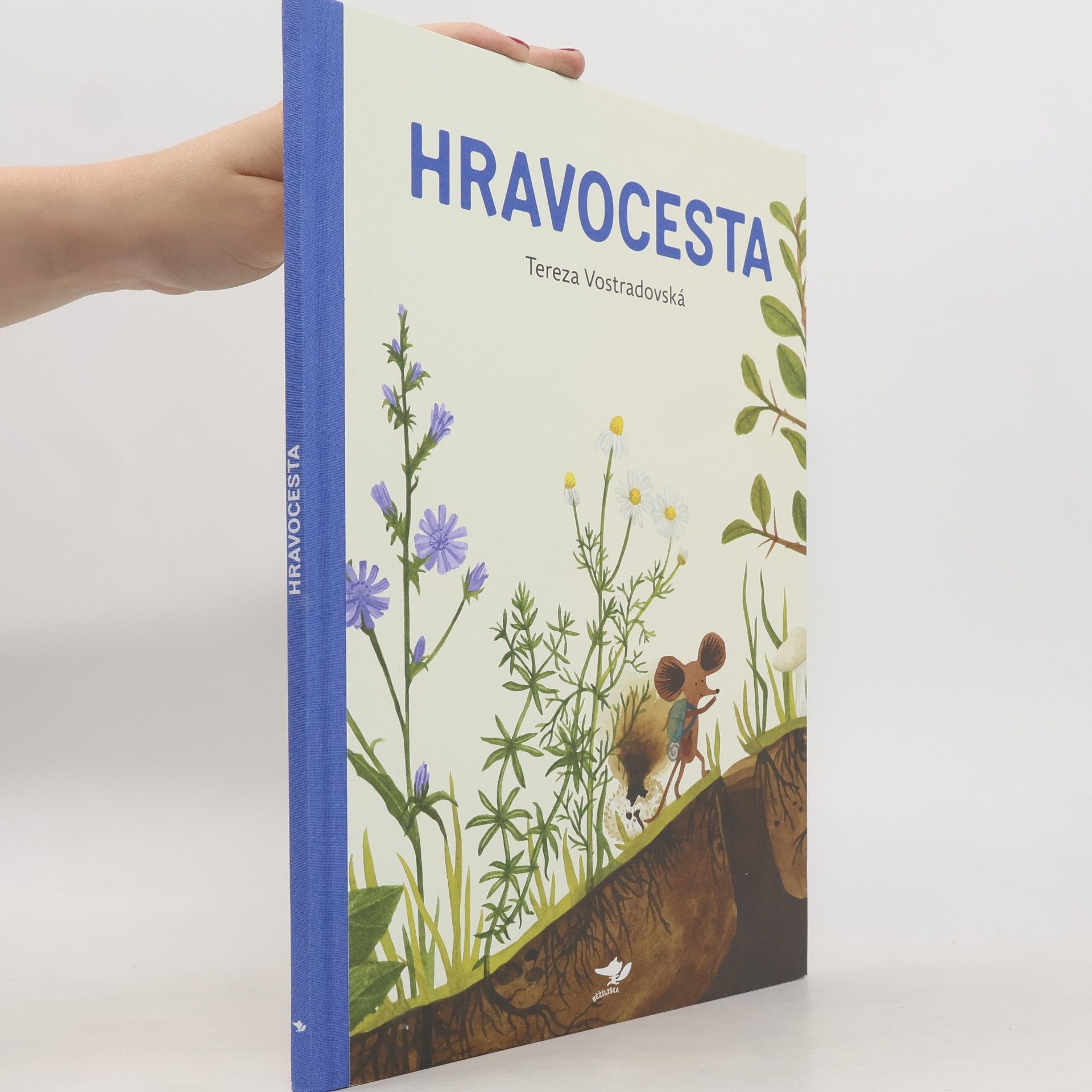 Tereza Vostradovská Hravocesta
