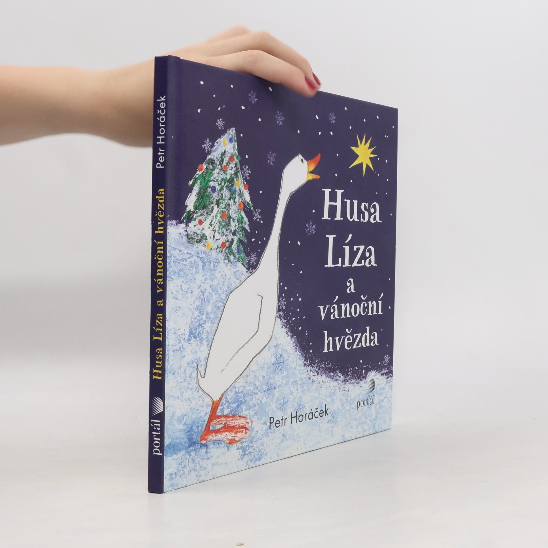 Horacek Petr Husa Líza a vánoční hvězda