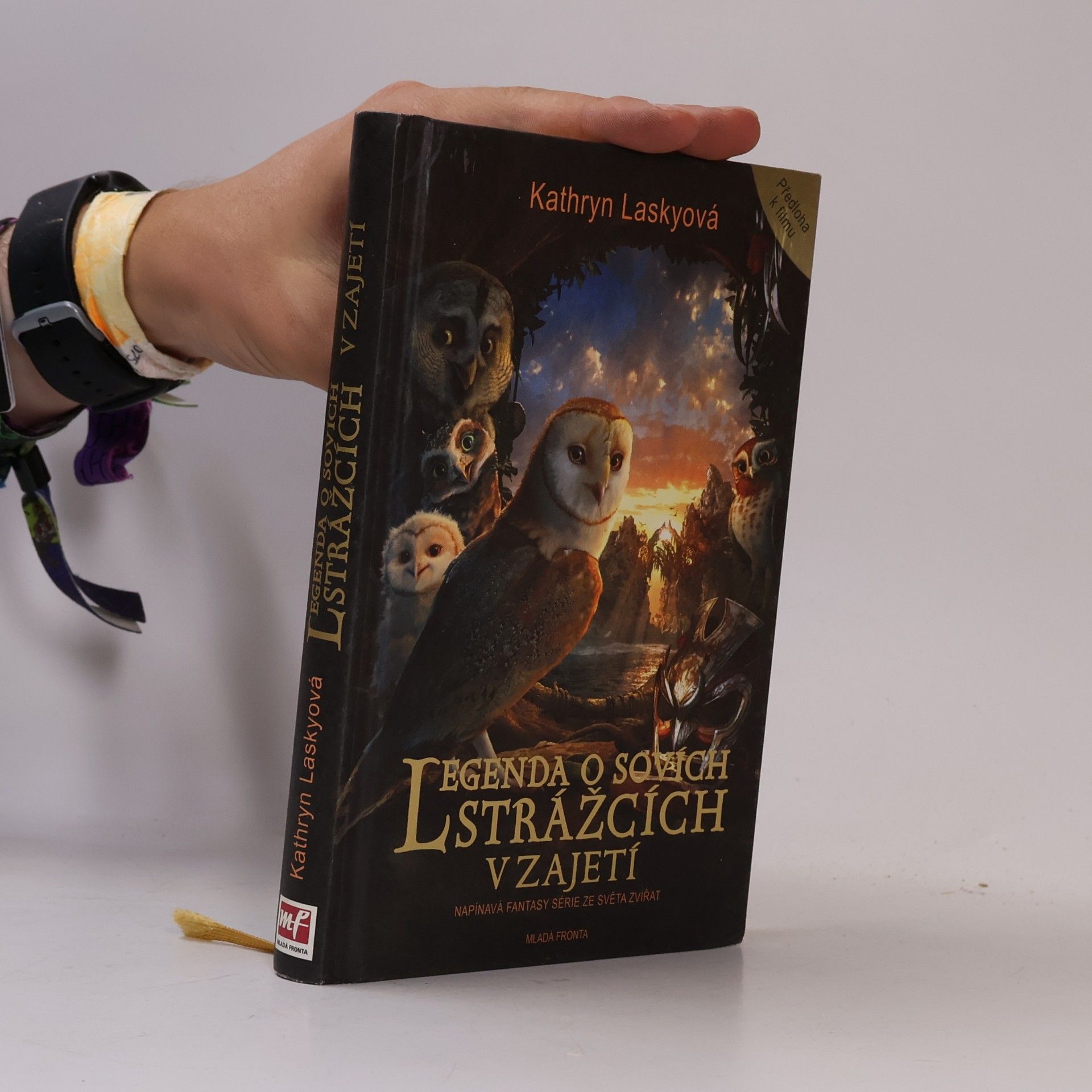 V zajetí. Legenda o sovích strážcích I.