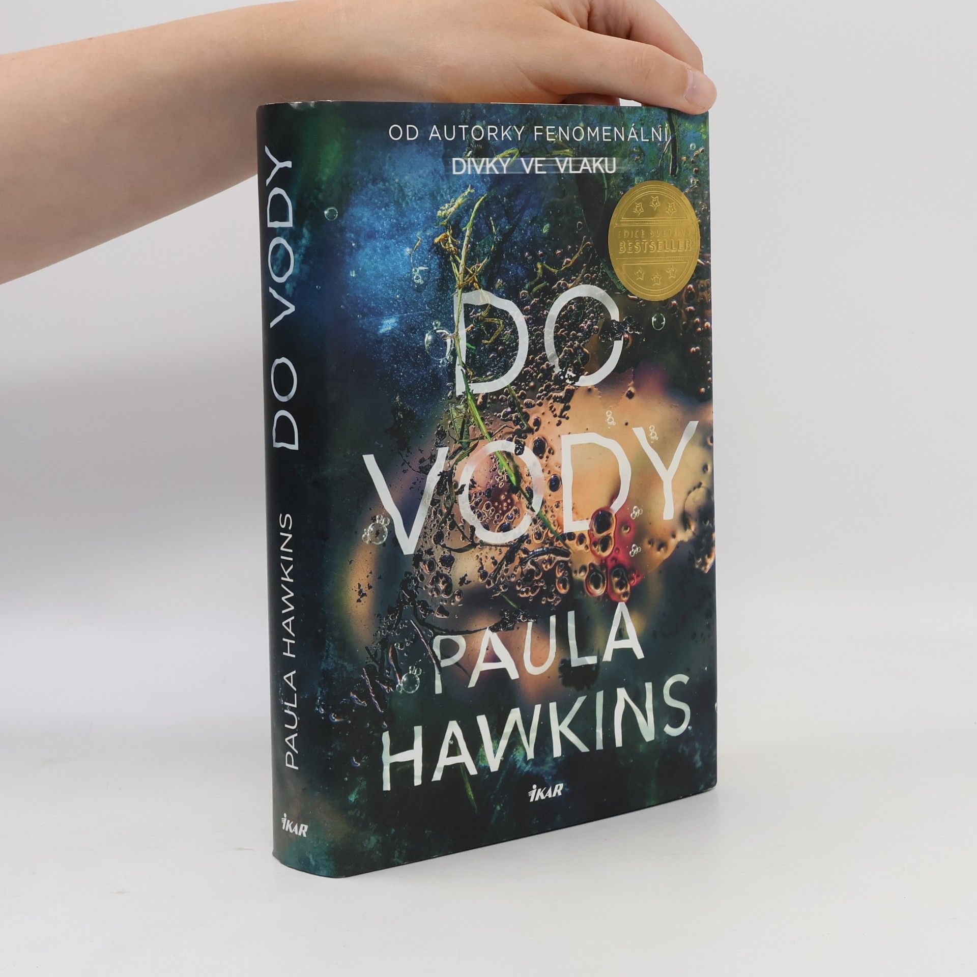 Paula Hawkinsová Do vody