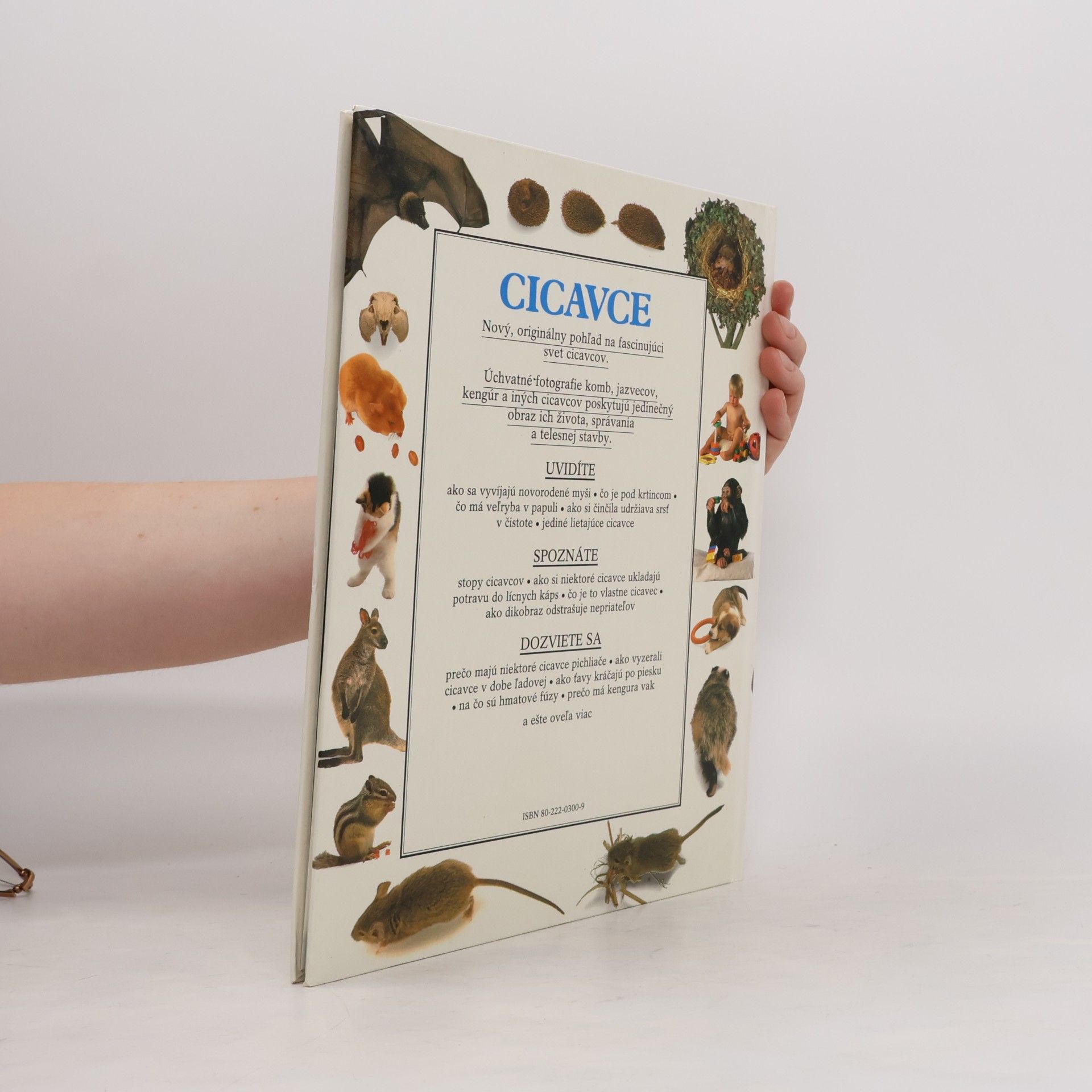 Steve Parker Cicavce