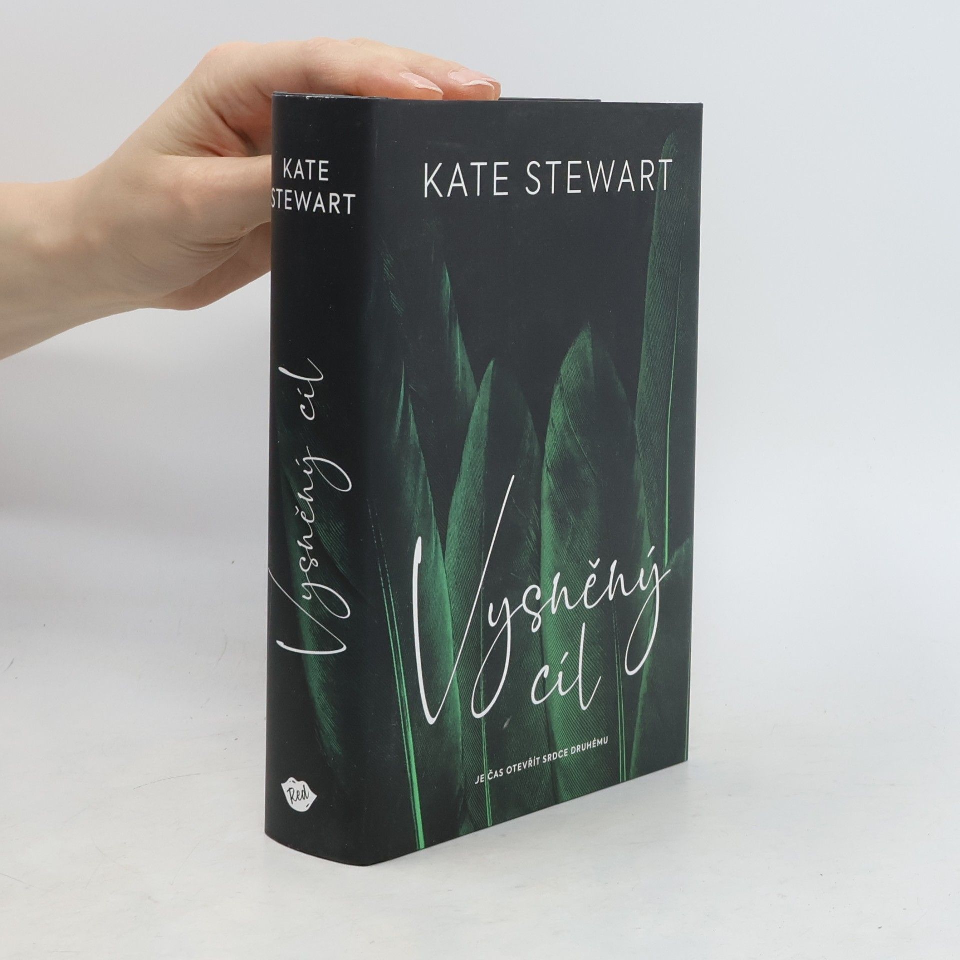 Kate Stewart Vysněný cíl. Kniha třetí