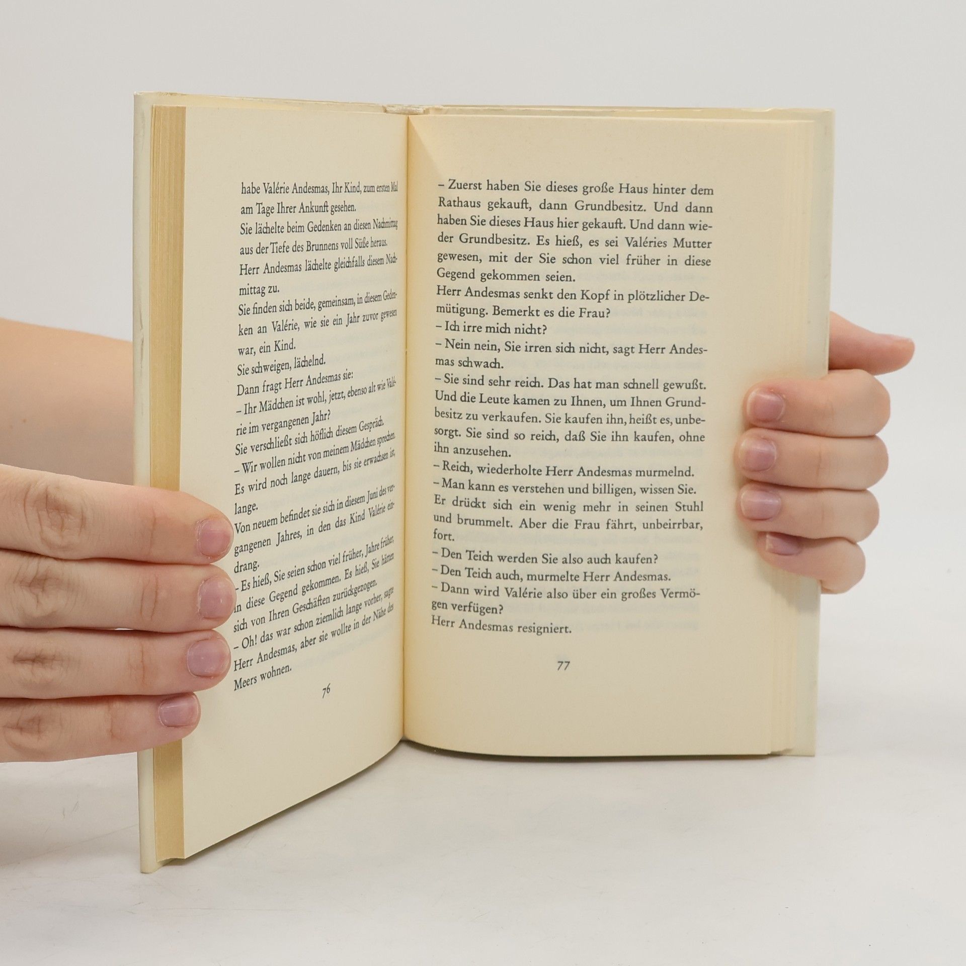 Marguerite Duras Der Nachmittag des Herrn Andesmas