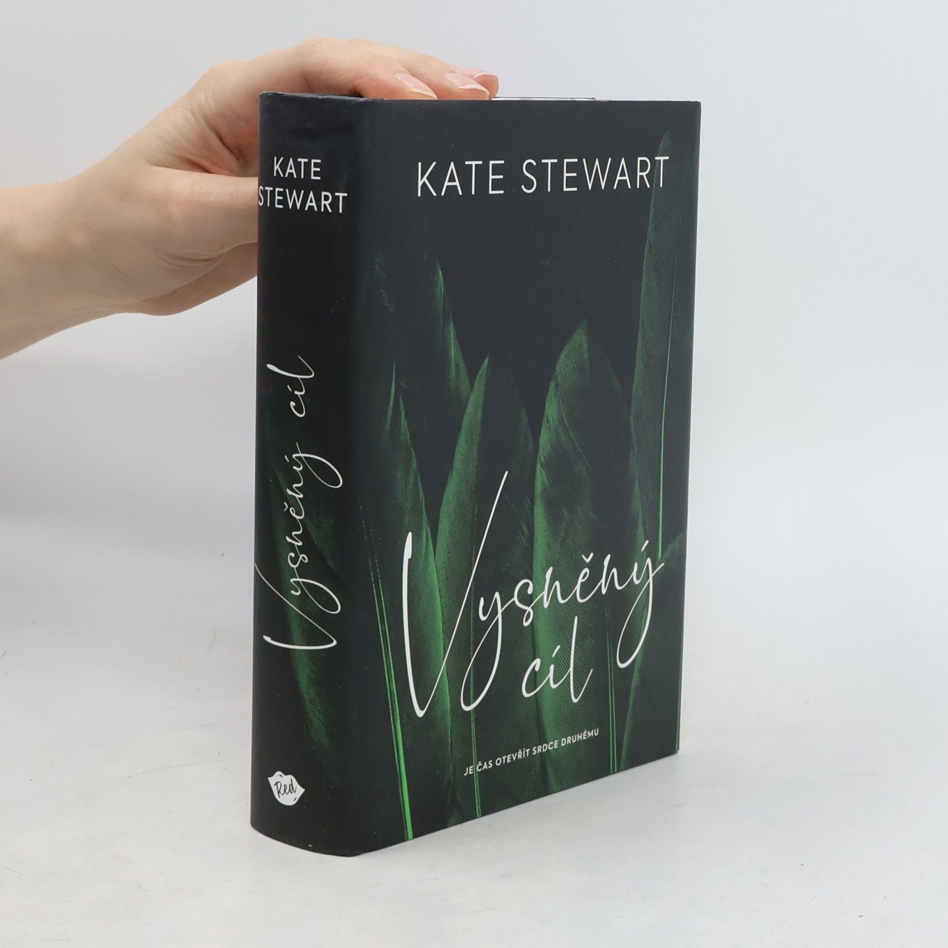 Kate Stewart Vysněný cíl. Kniha třetí