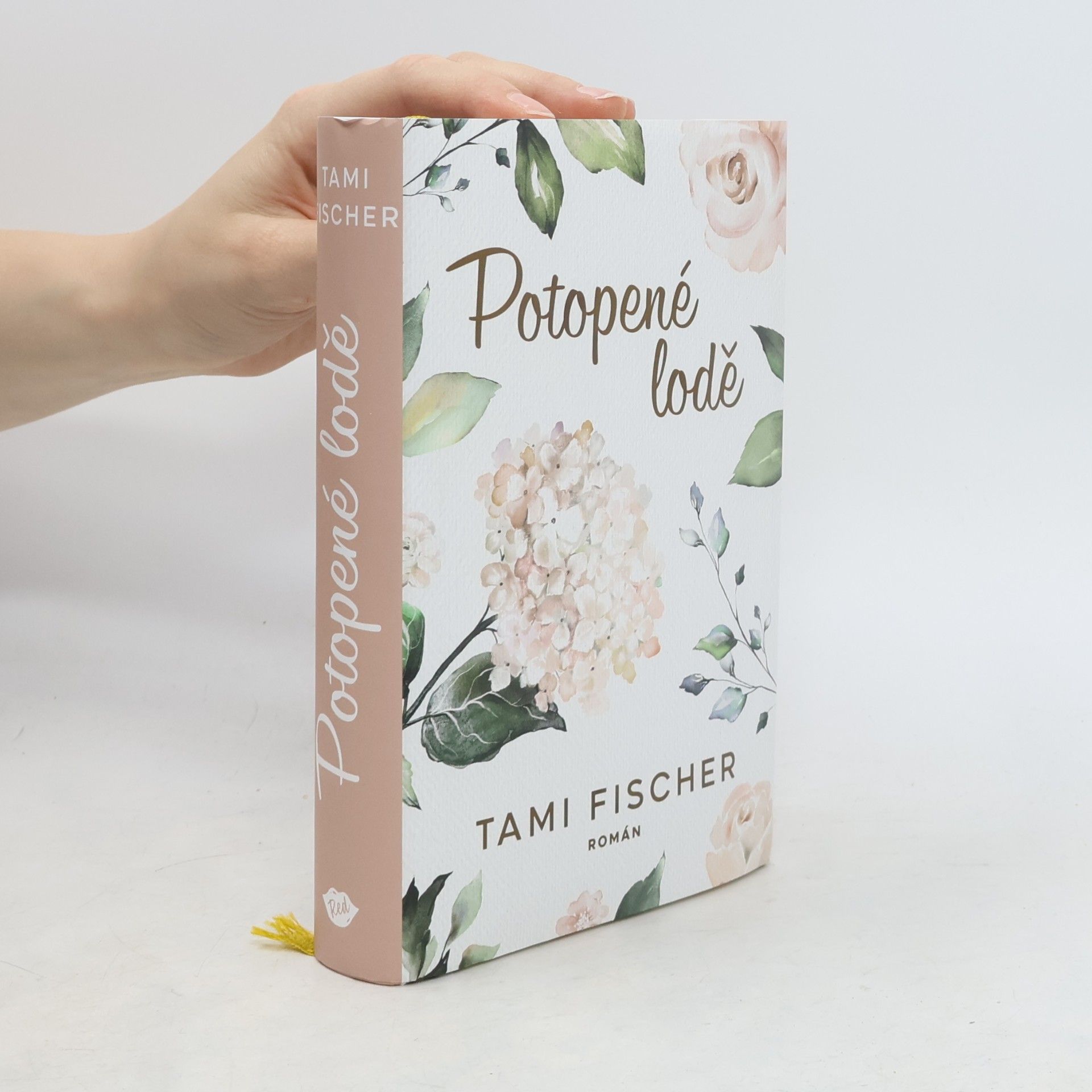 Tami Fischer Potopené lodě
