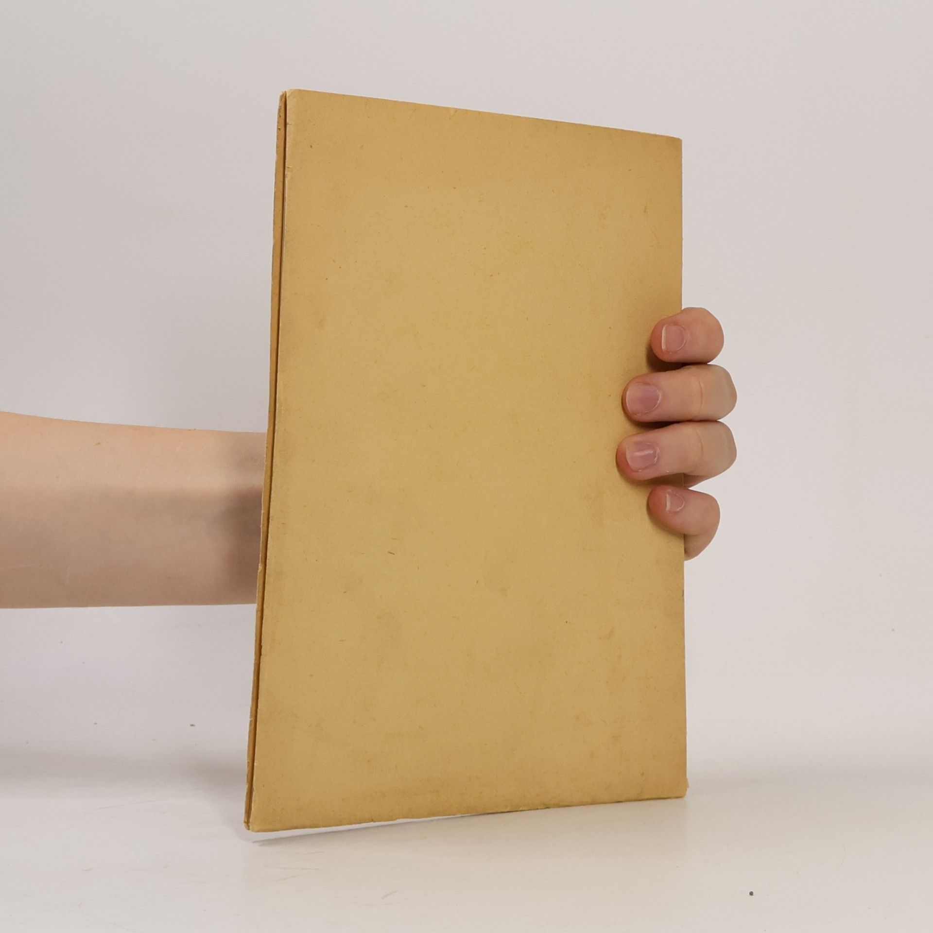 Miroslav Novotný Původní grafika v krásné knize