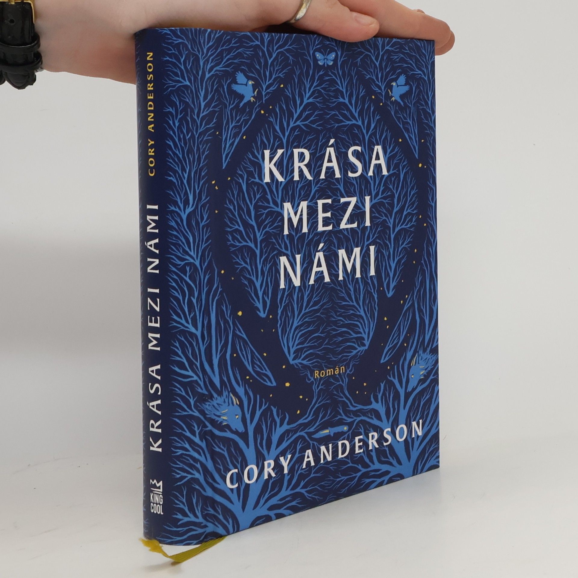 Cory L. Anderson Krása mezi námi